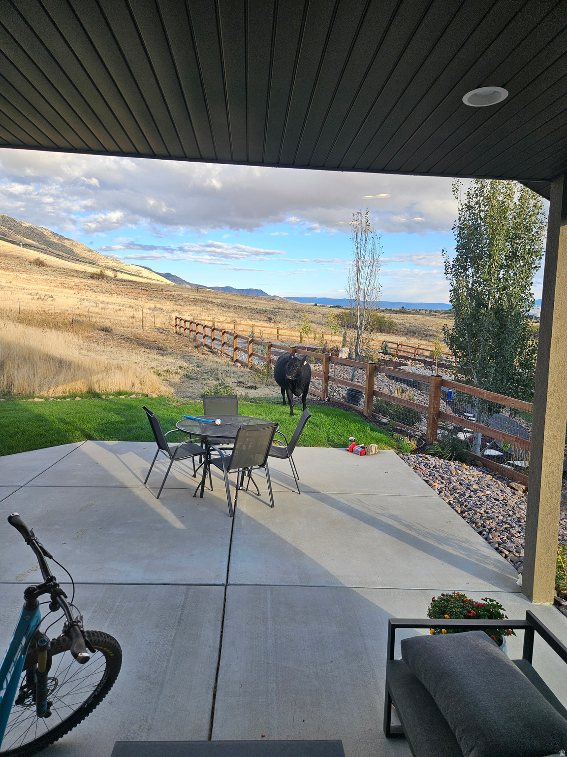 main property photo 54
