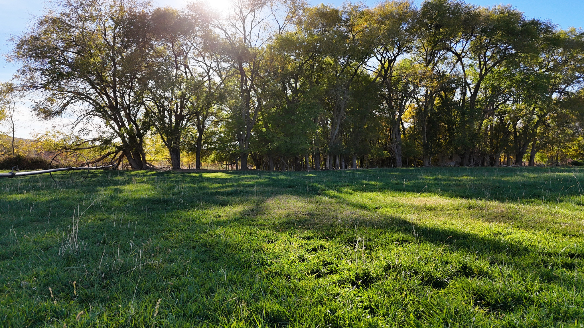 main property photo 26