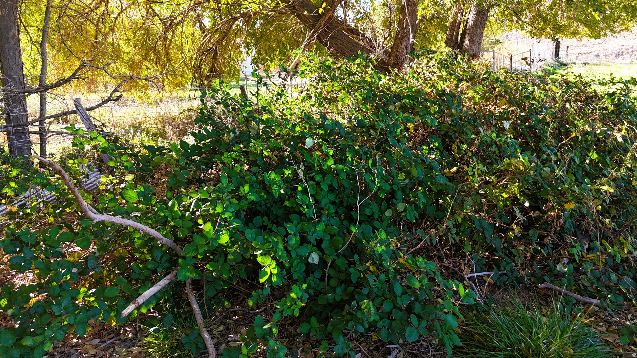 main property photo 31