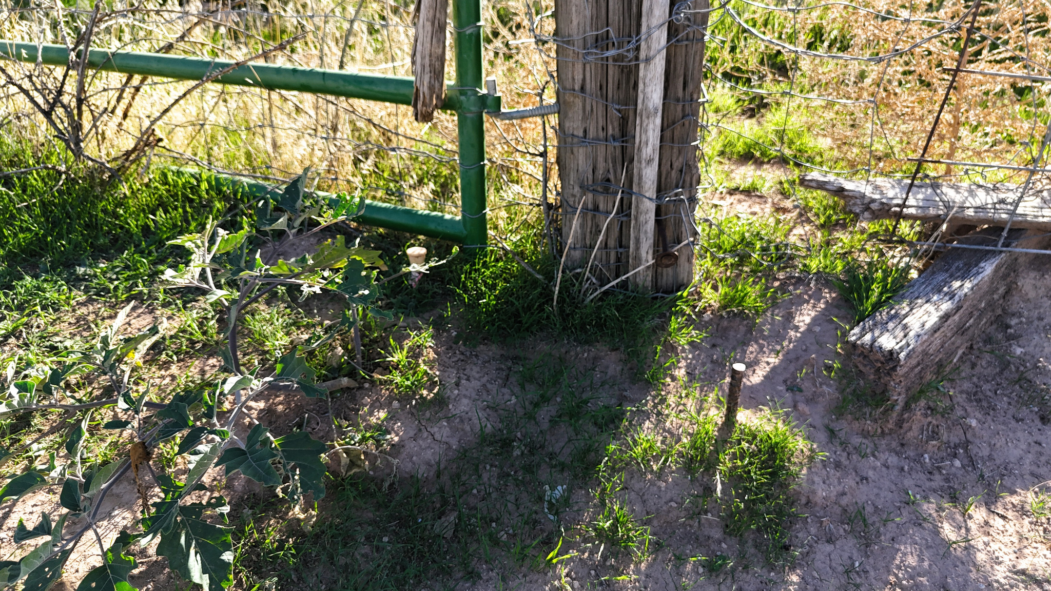 main property photo 33