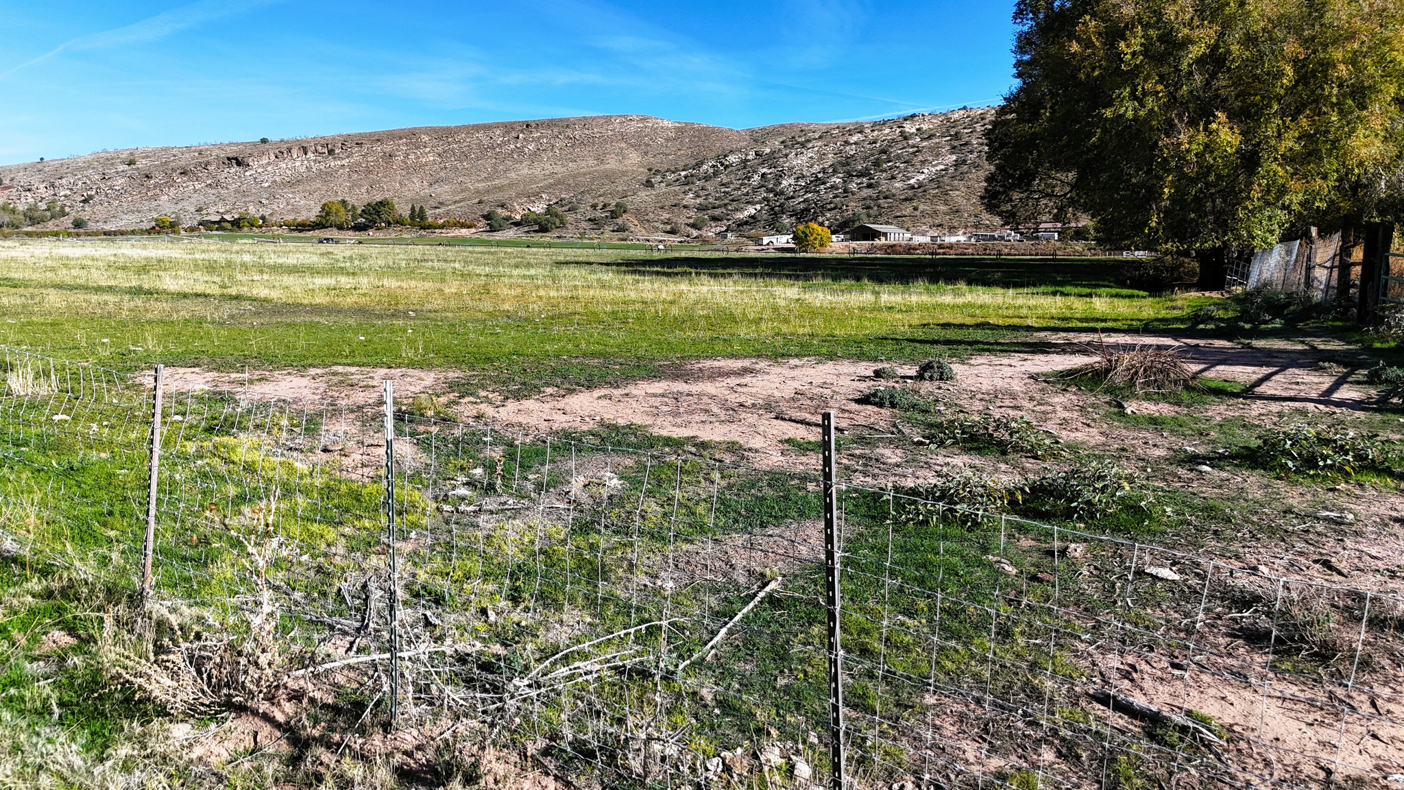 main property photo 35