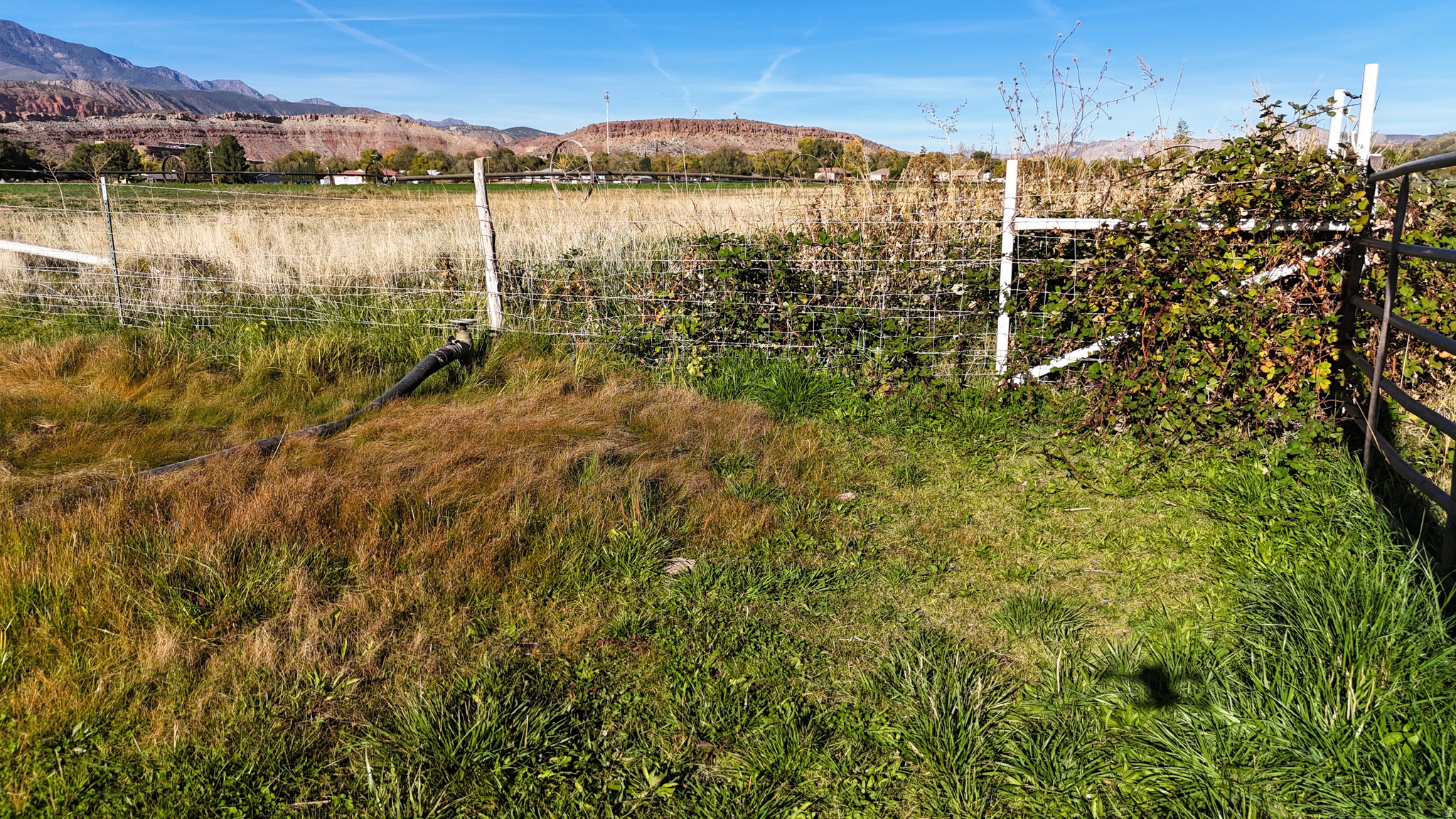 main property photo 9