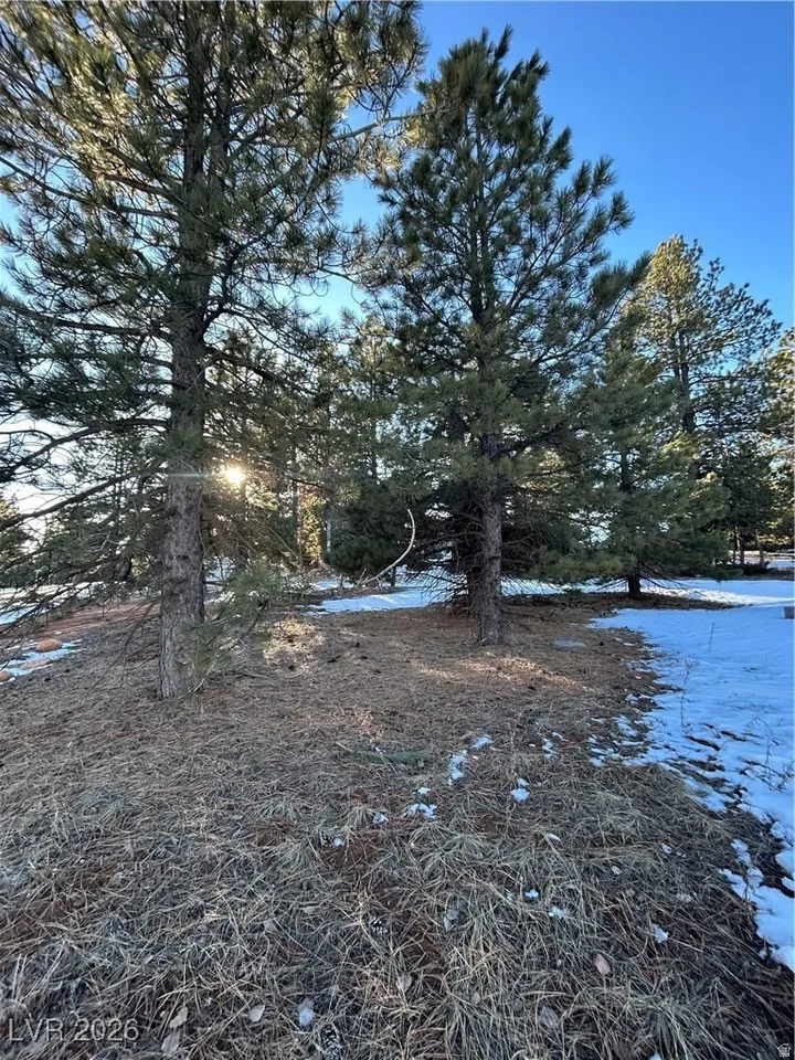 main property photo 9
