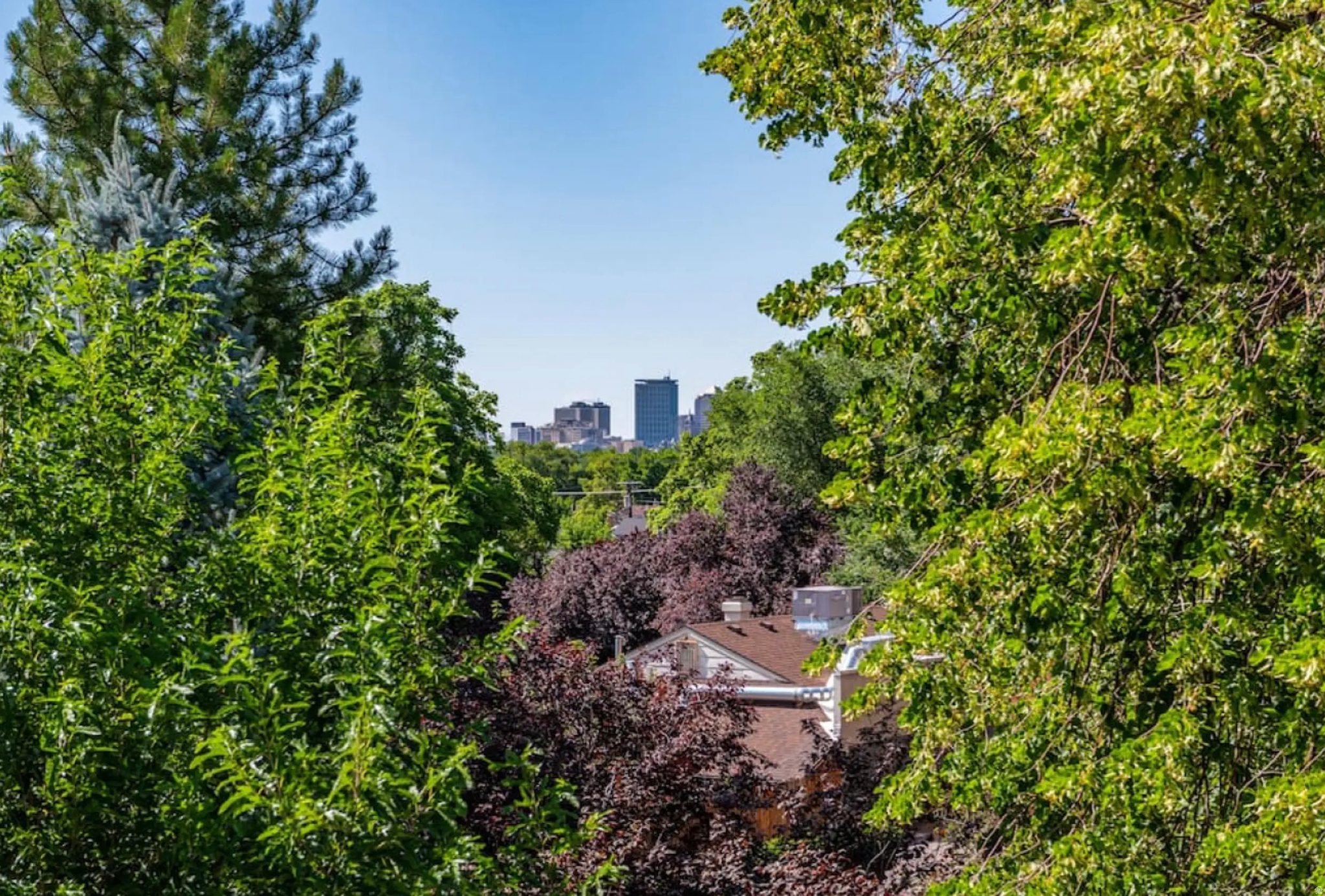 main property photo 54