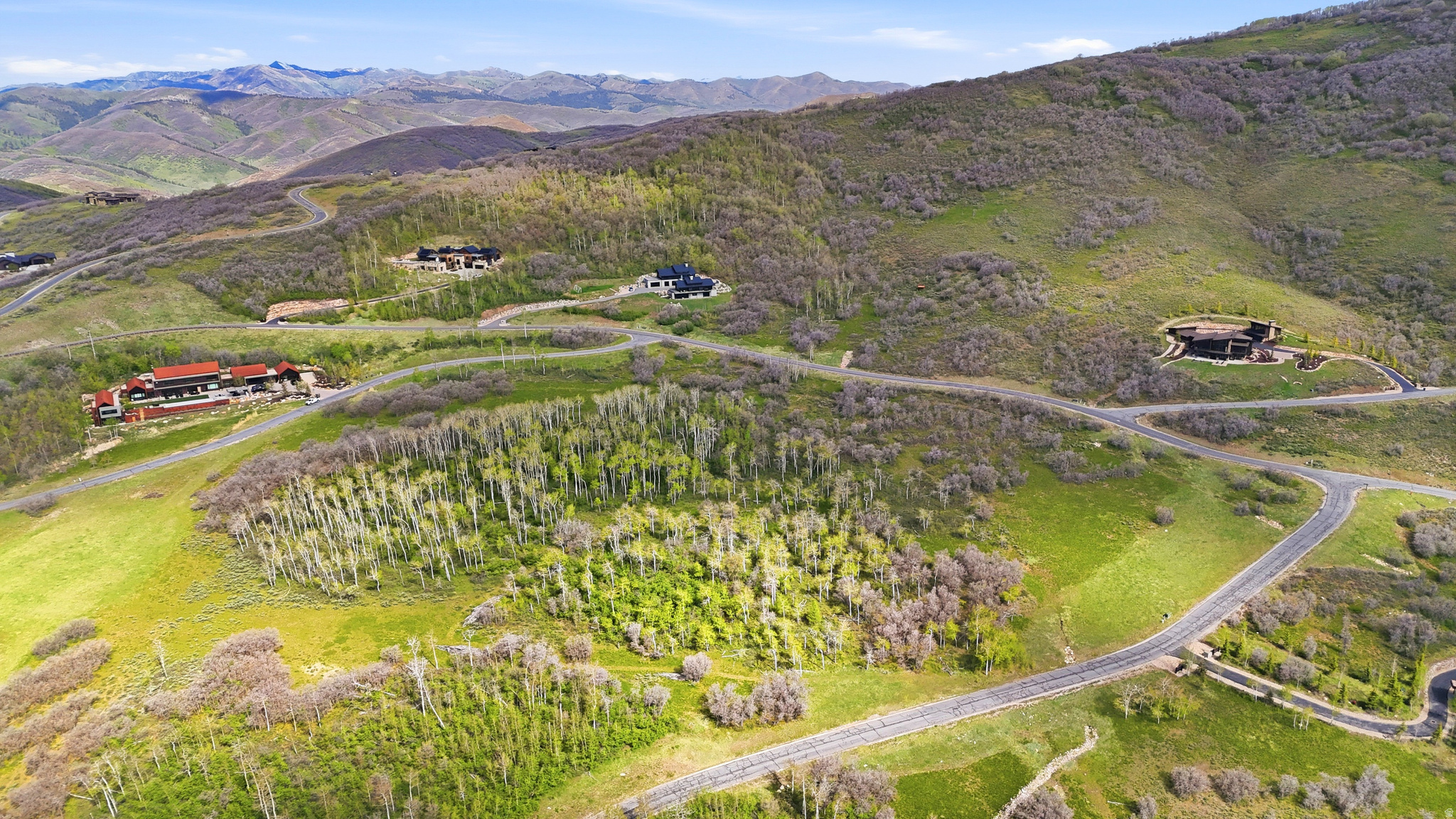 main property photo 14