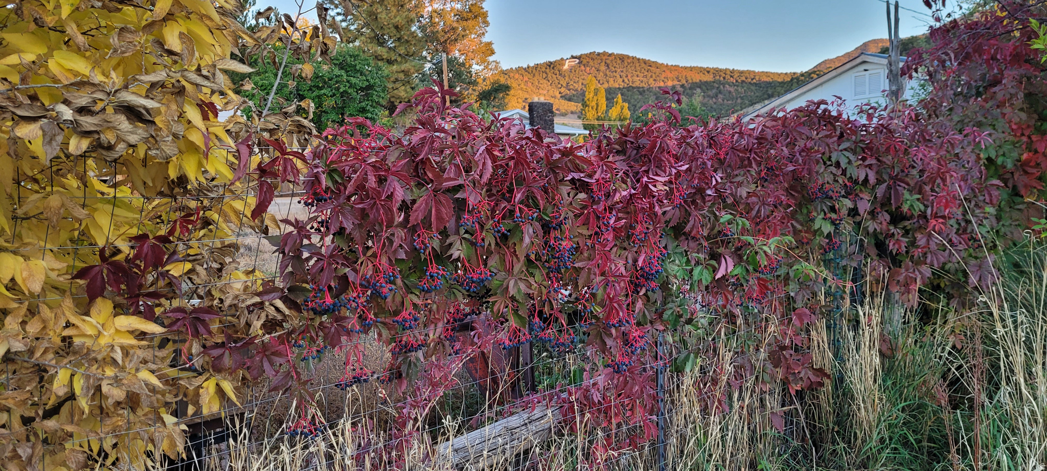 main property photo 36