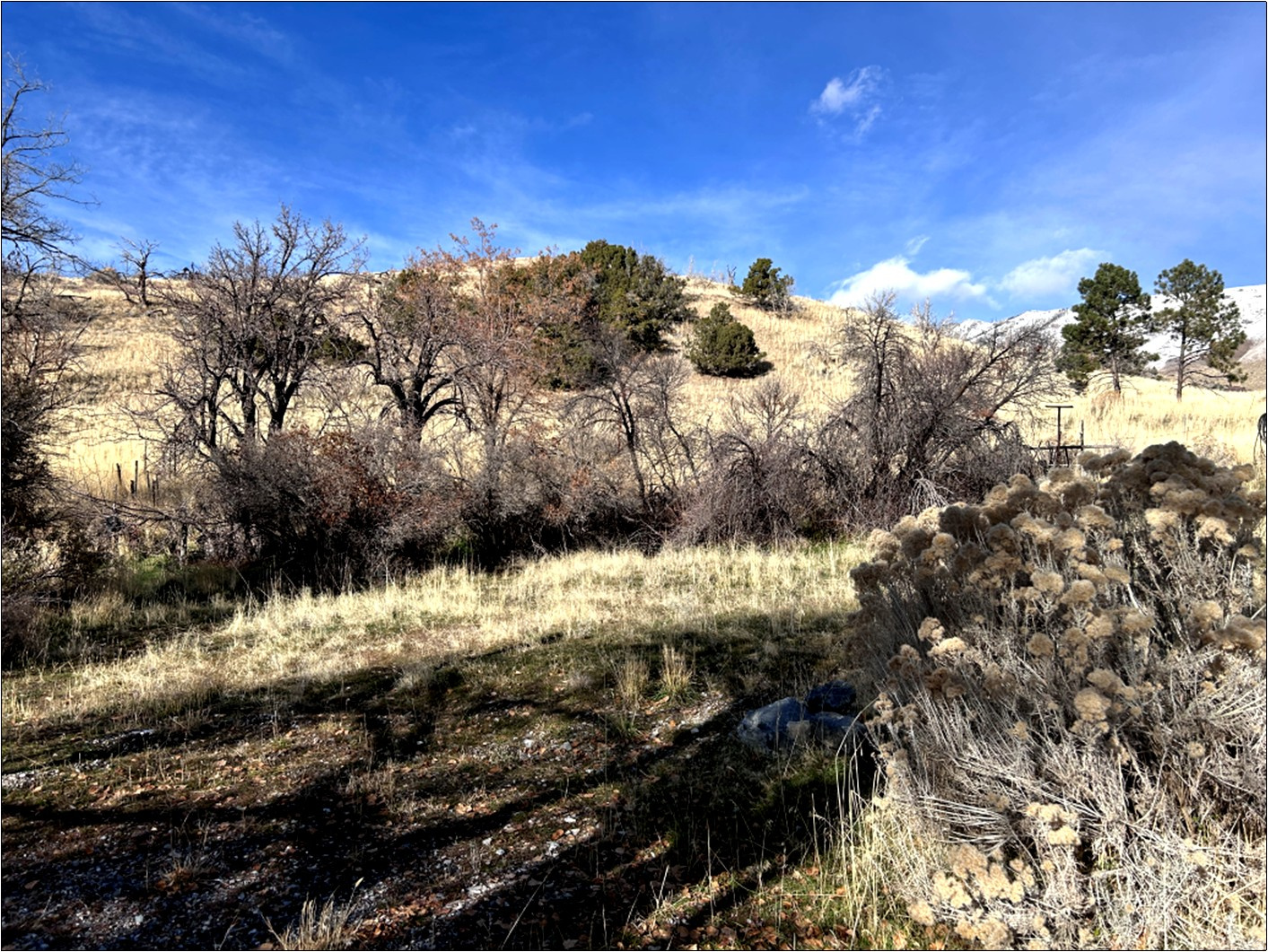 main property photo 15