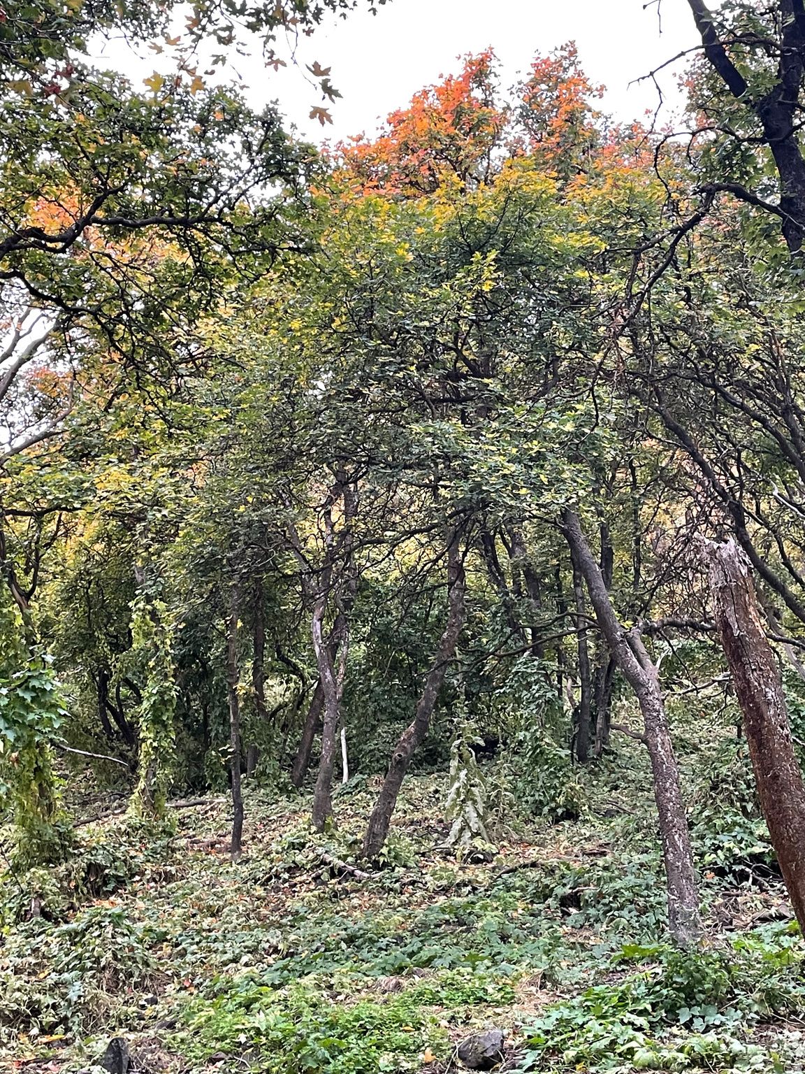 main property photo 18