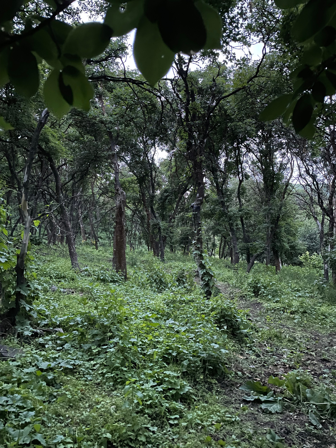 main property photo 20