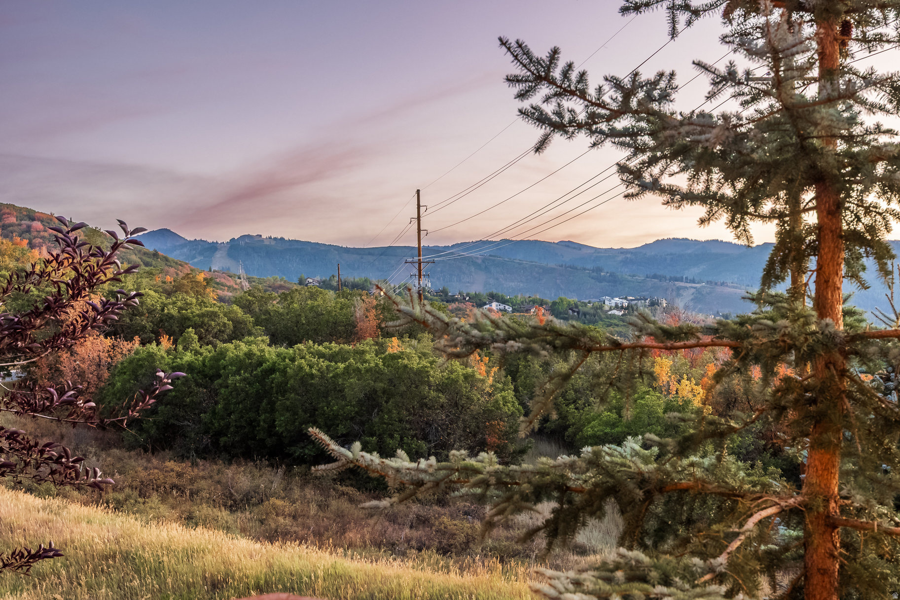 main property photo 54