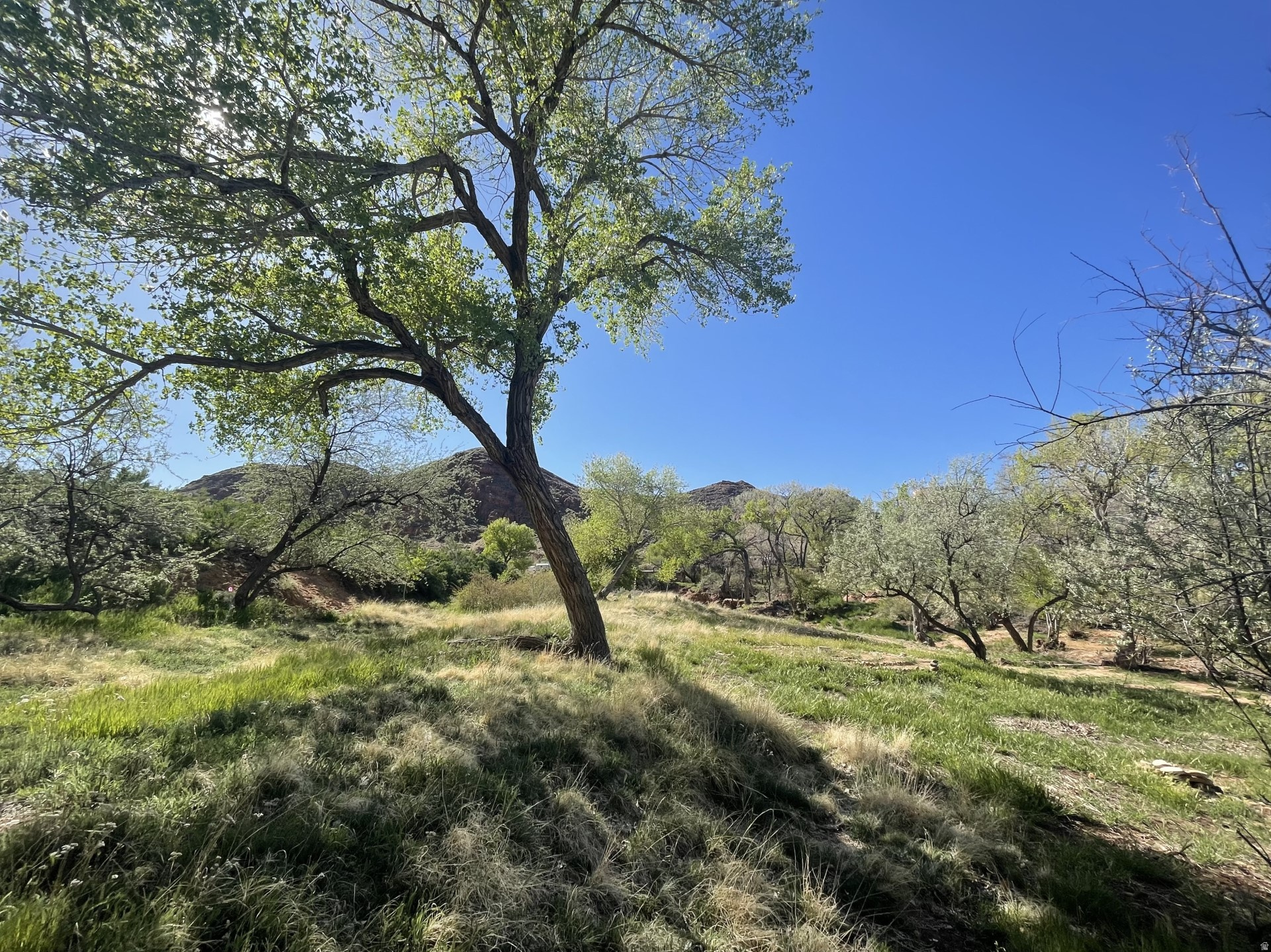 main property photo 50