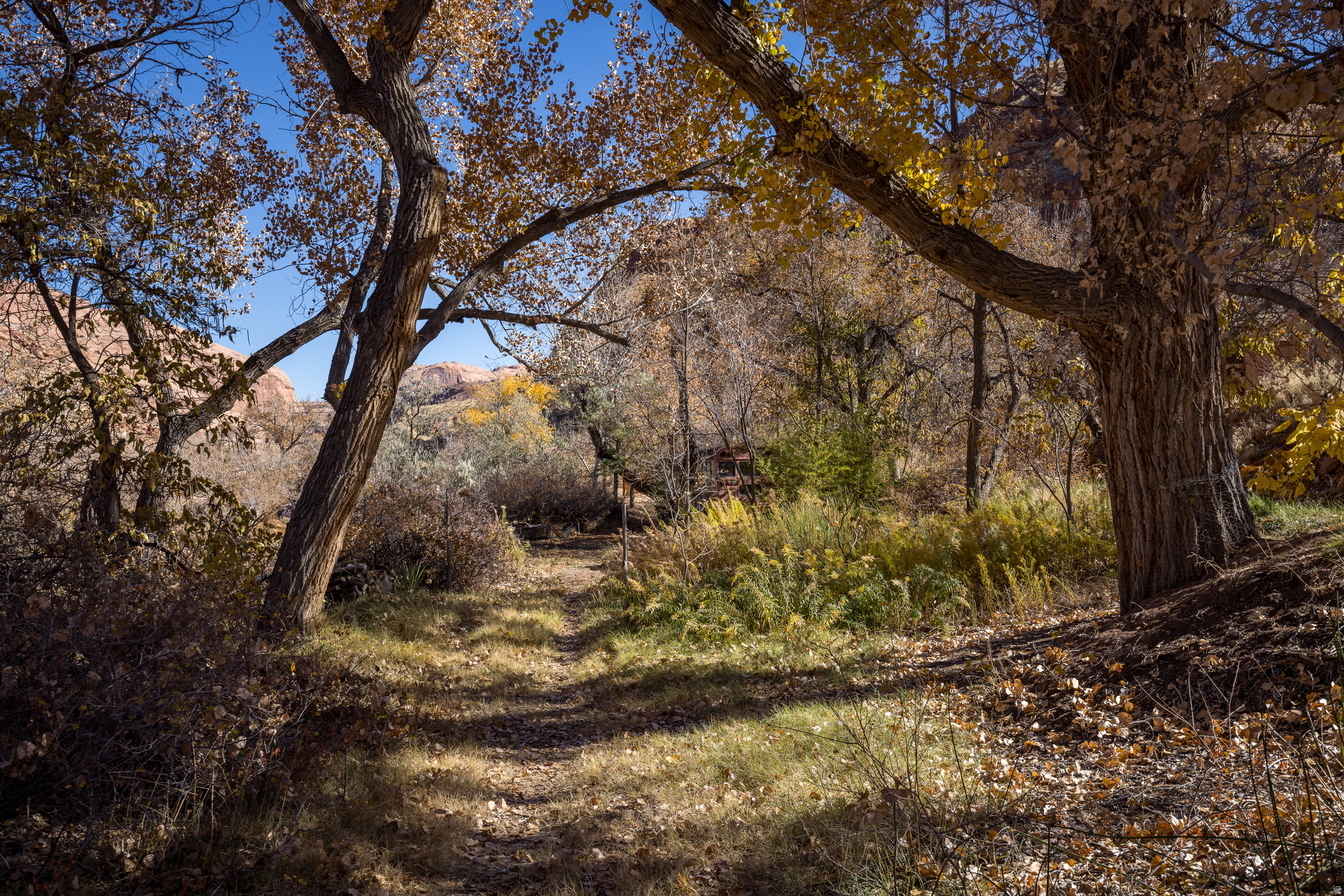 main property photo 64