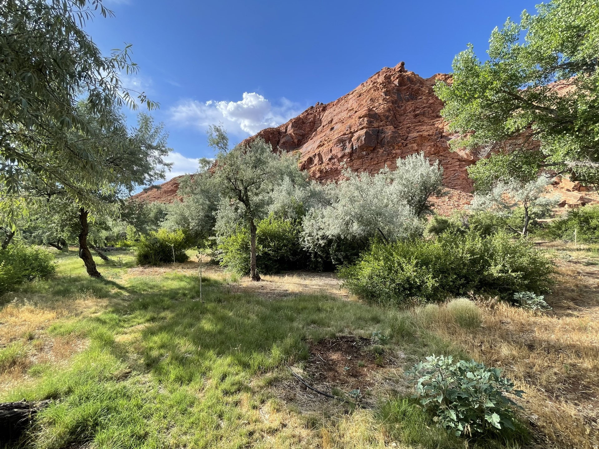 main property photo 46