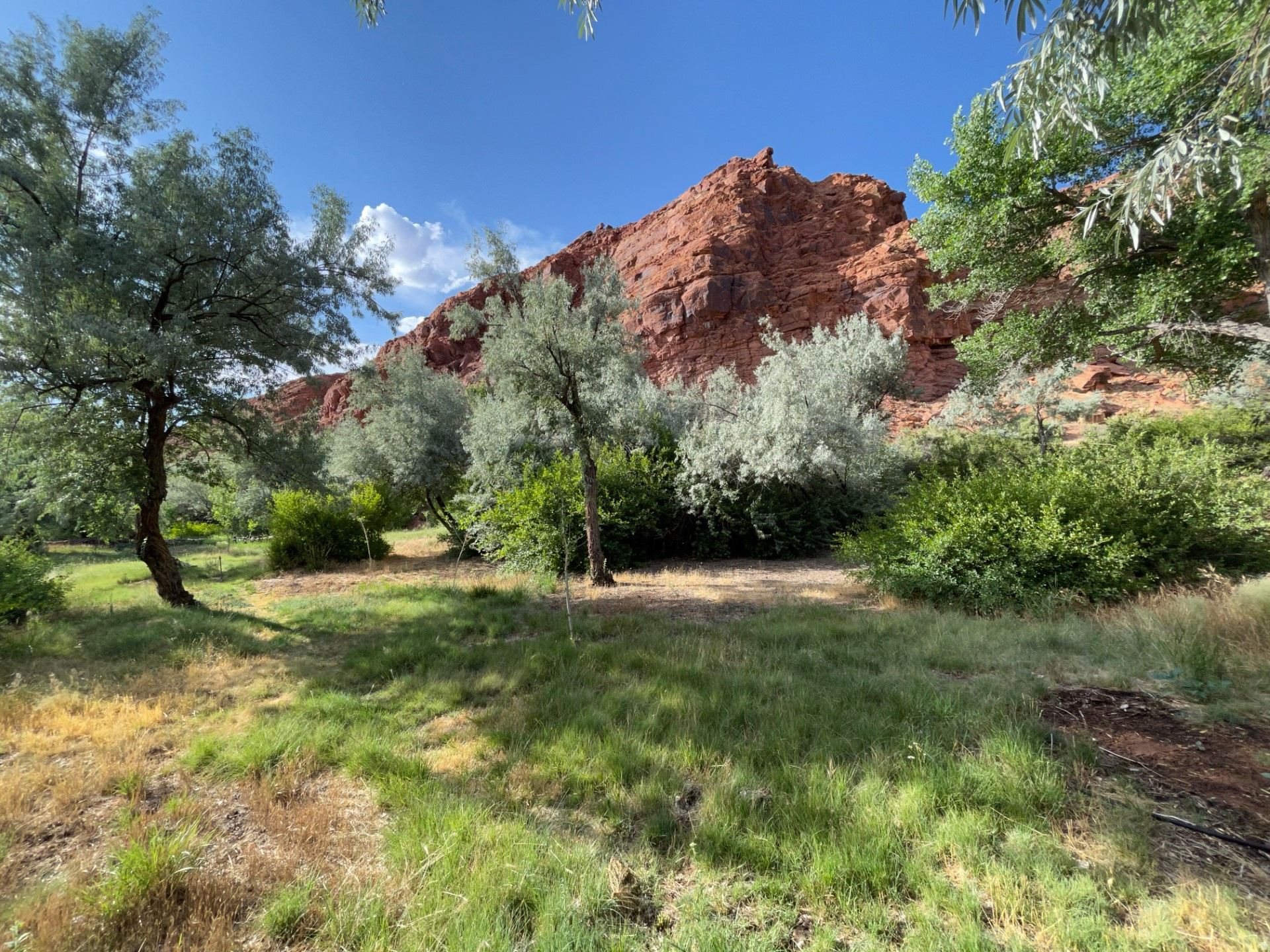 main property photo 47