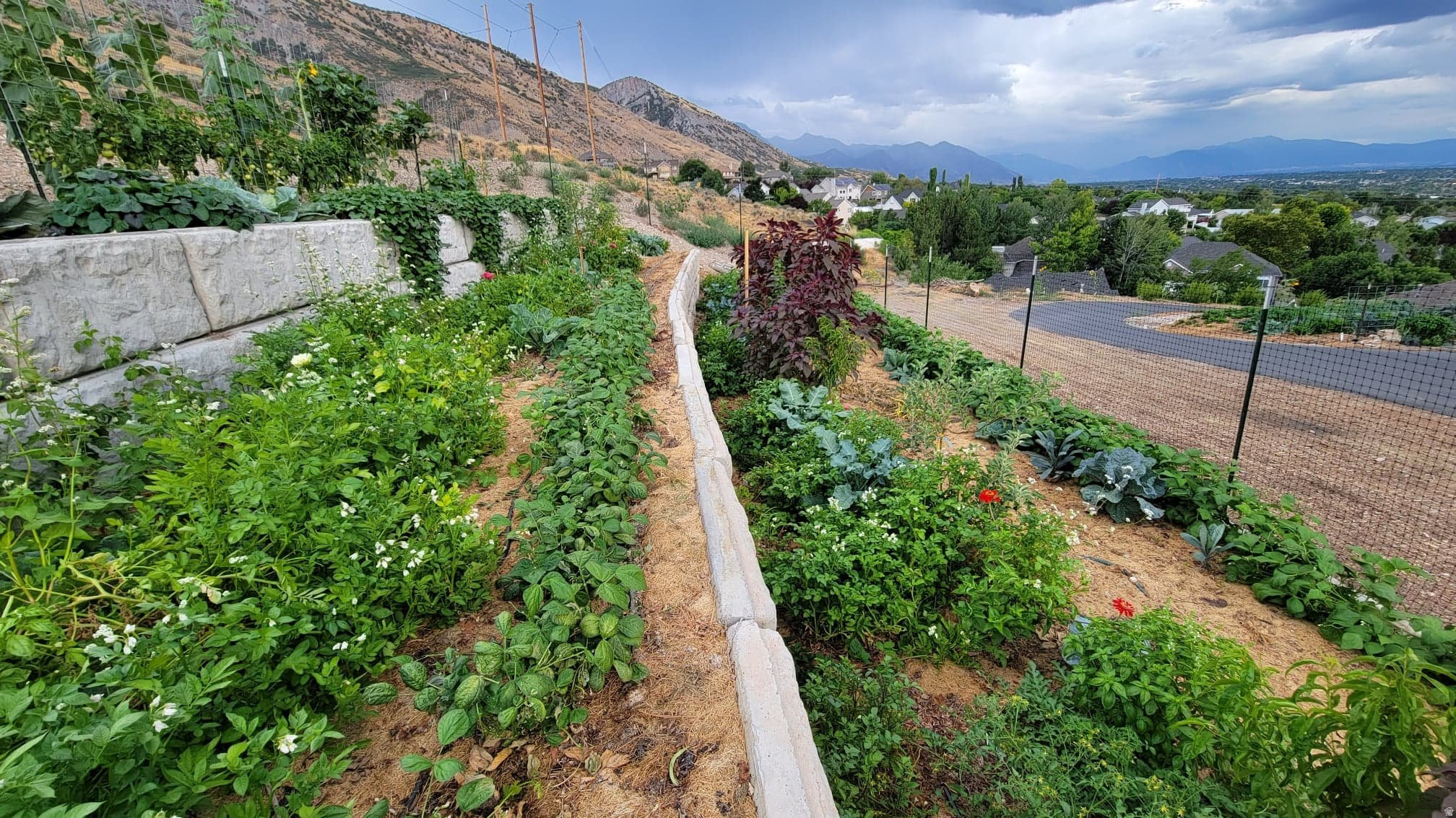 main property photo 54