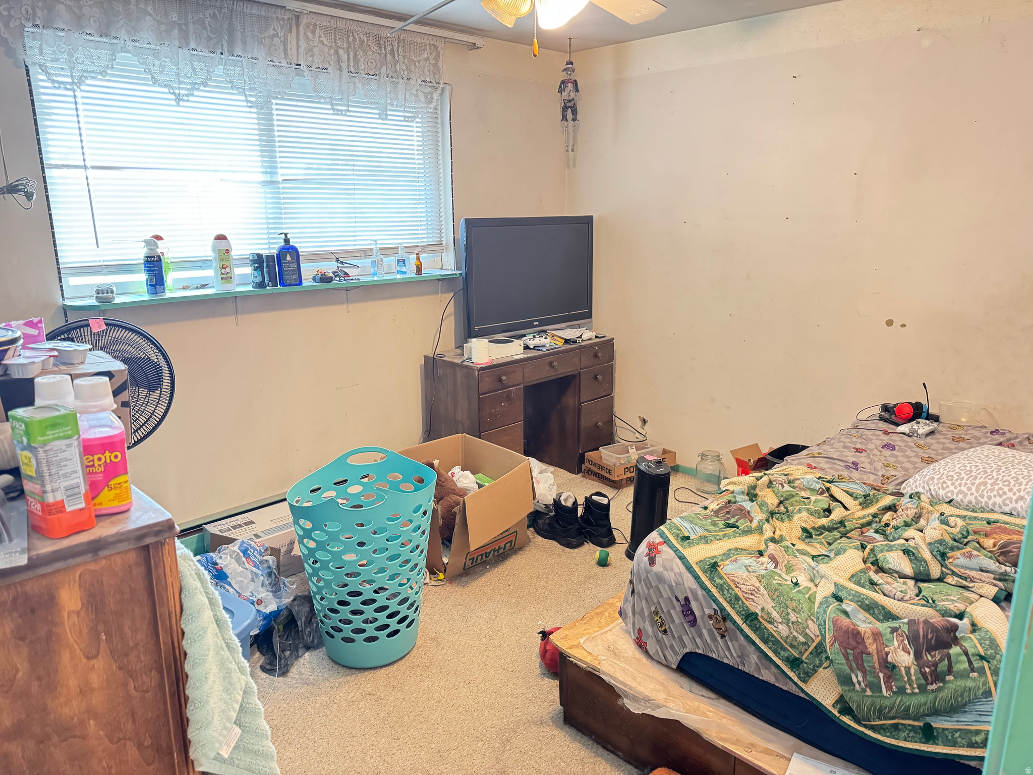 main property photo 13