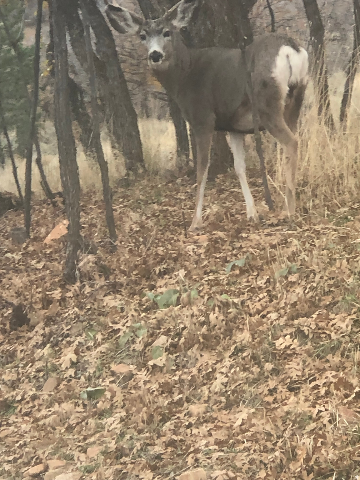 main property photo 26