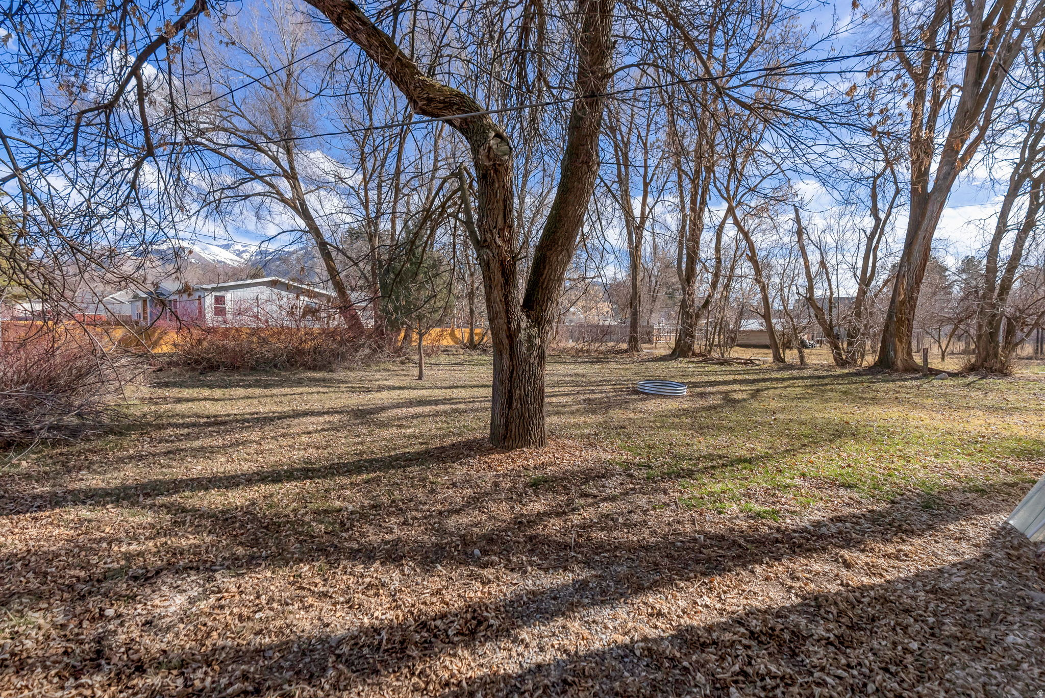 main property photo 41