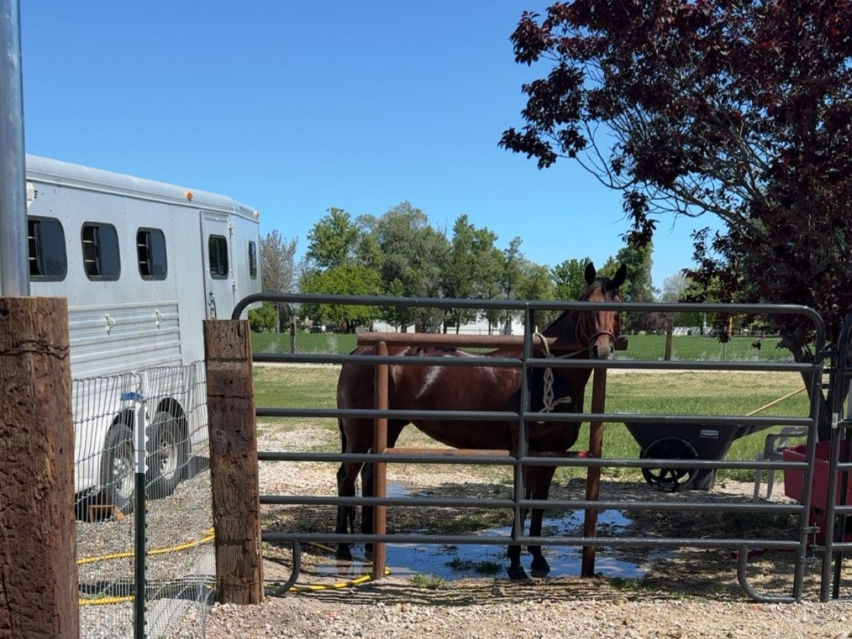 main property photo 24