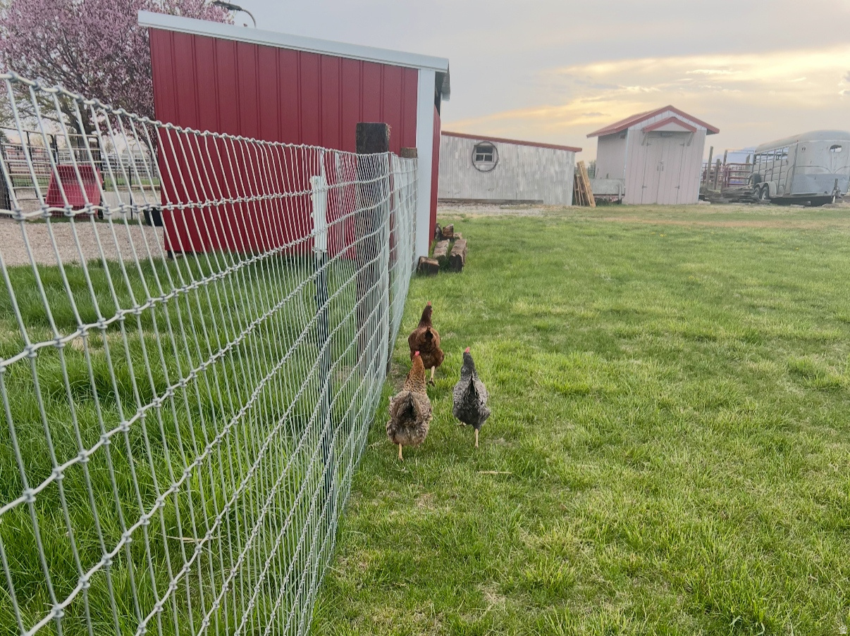 main property photo 29