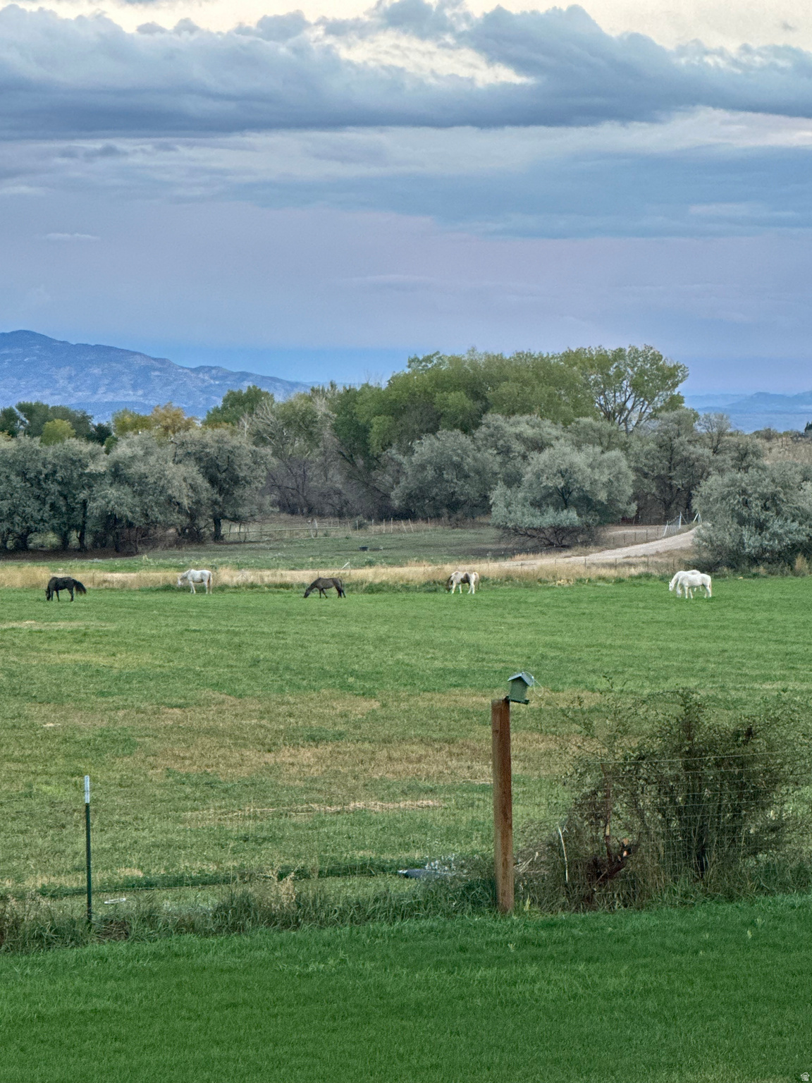 main property photo 48