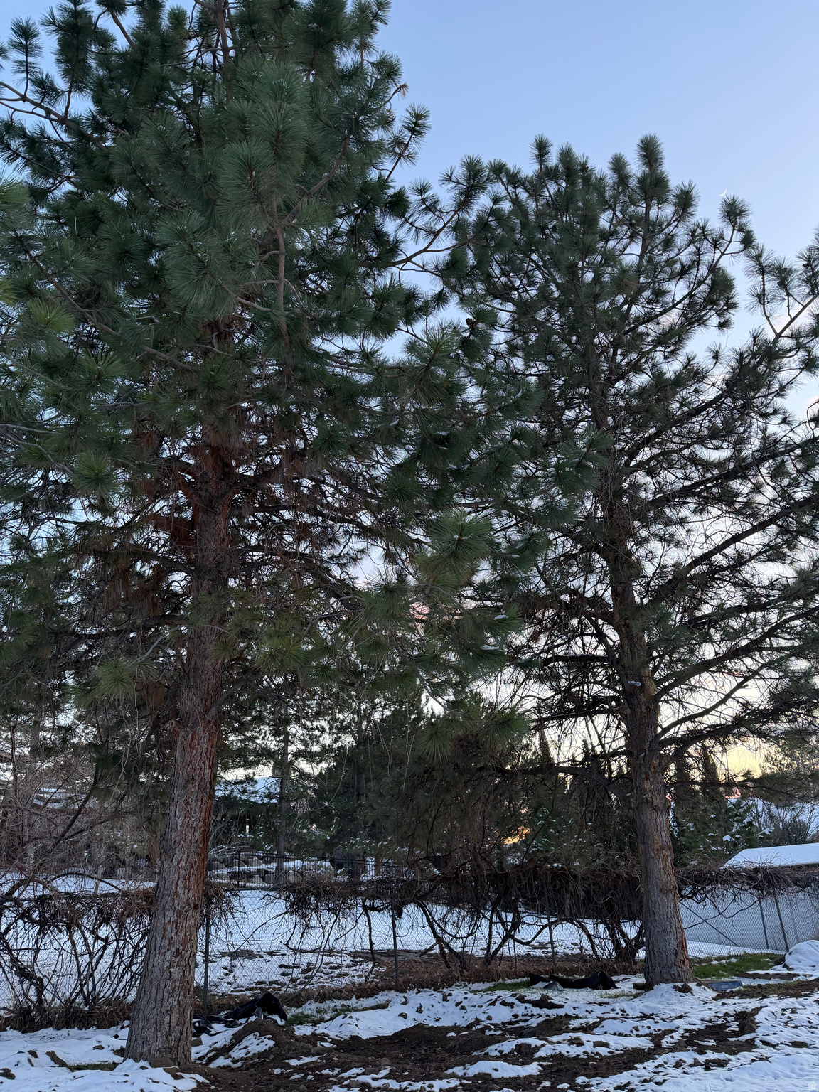 main property photo 30