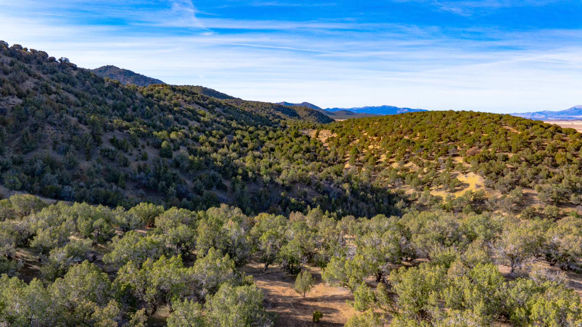 main property photo 129