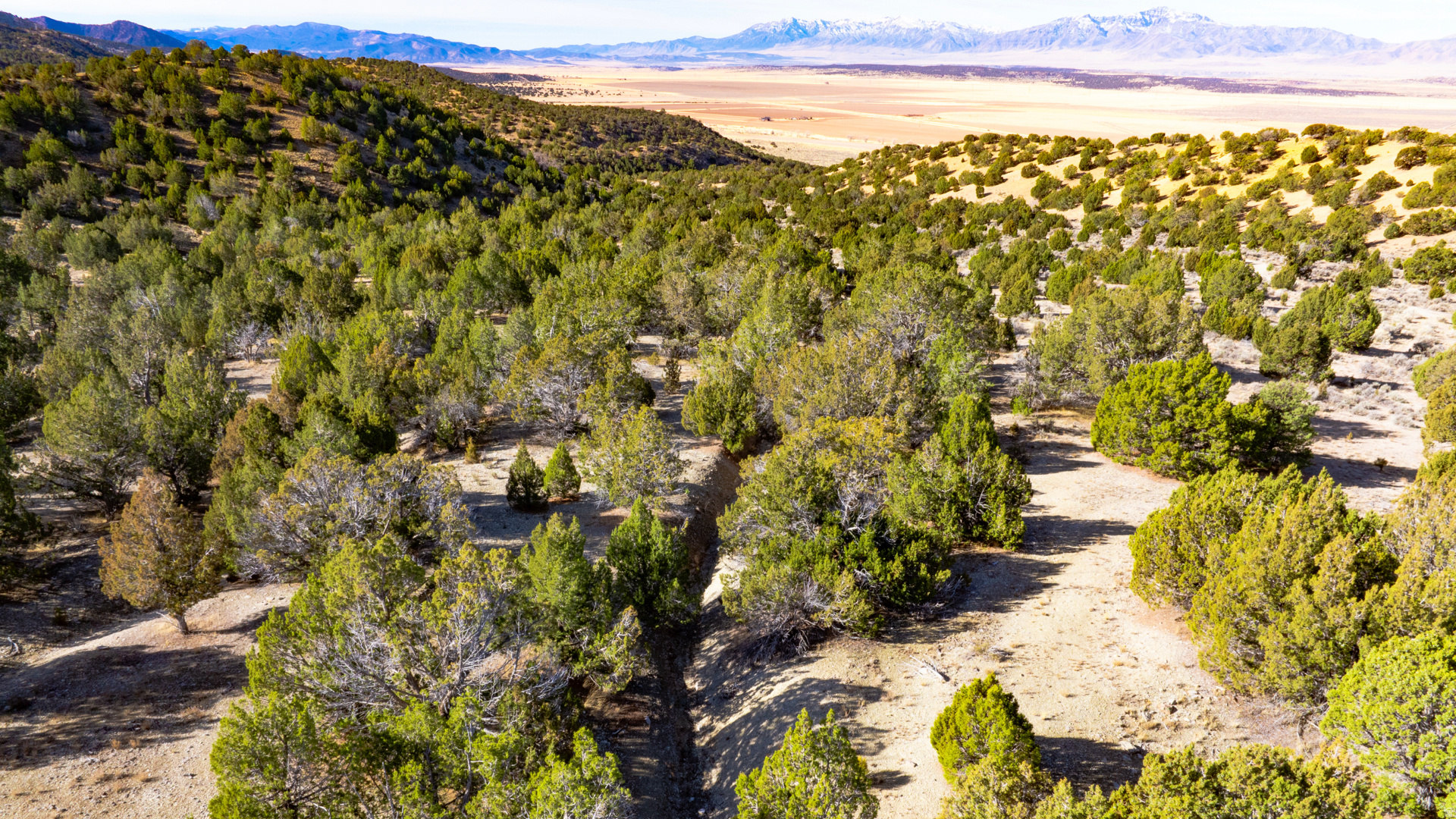 main property photo 155