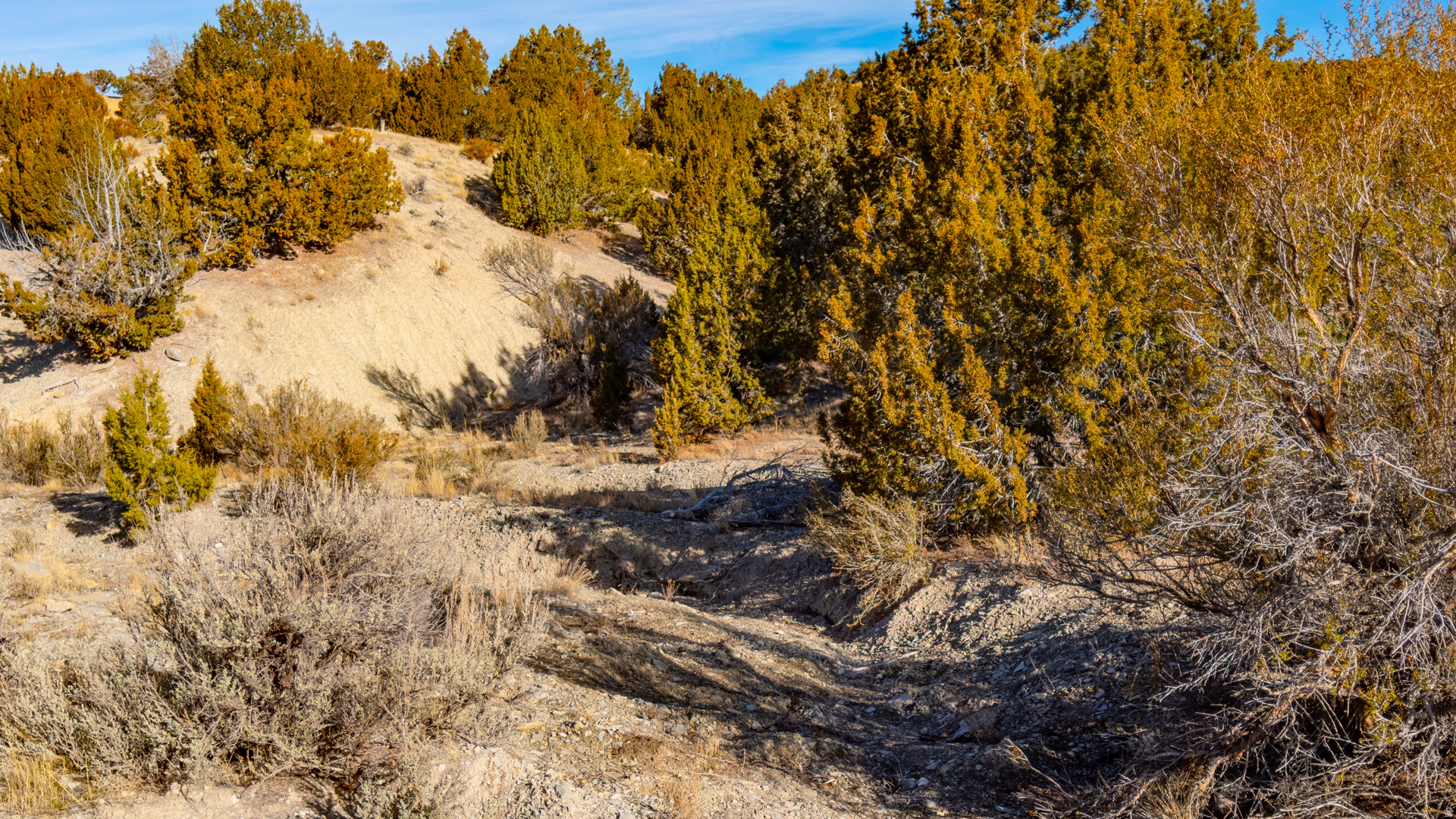 main property photo 52