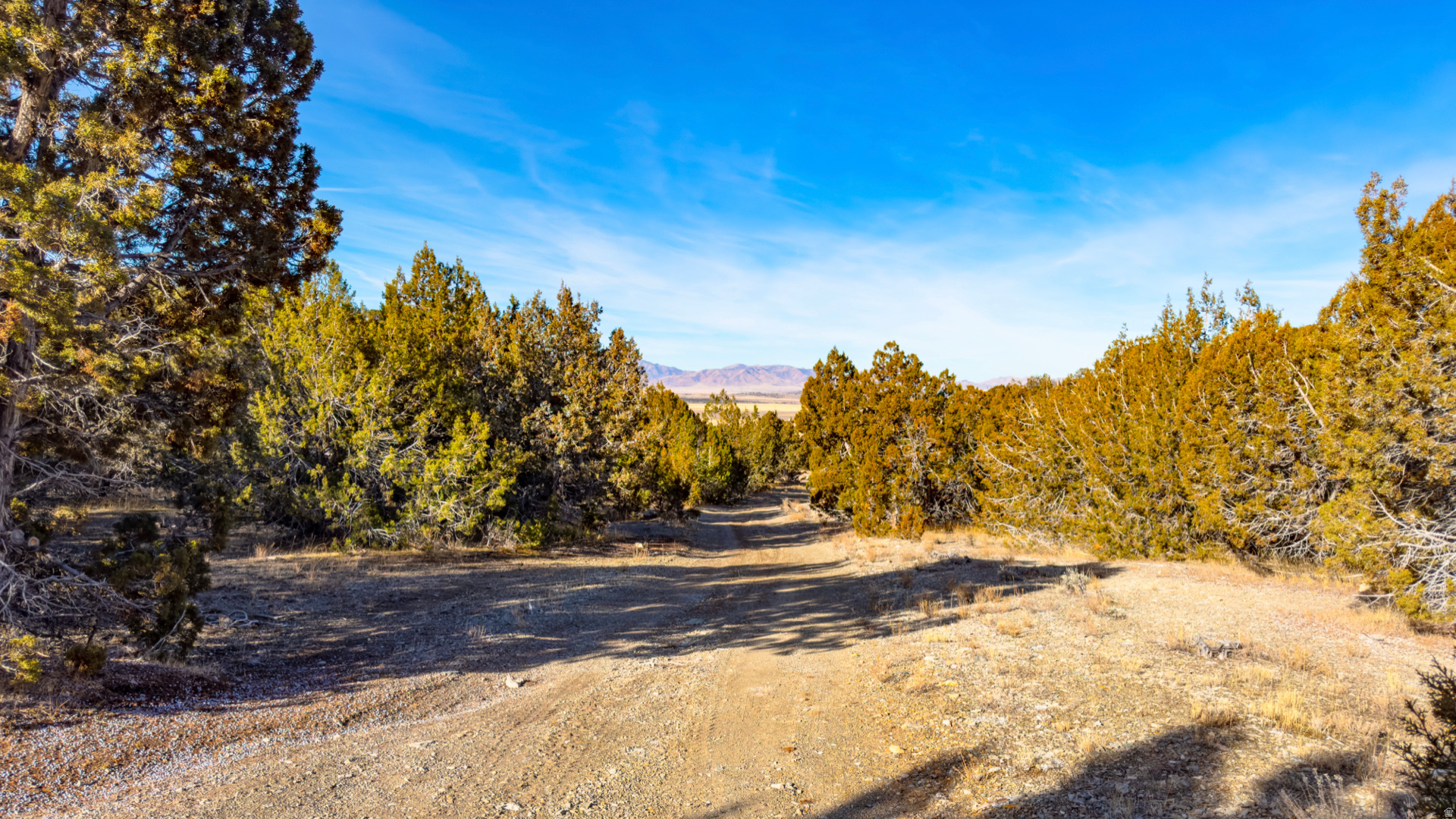 main property photo 54