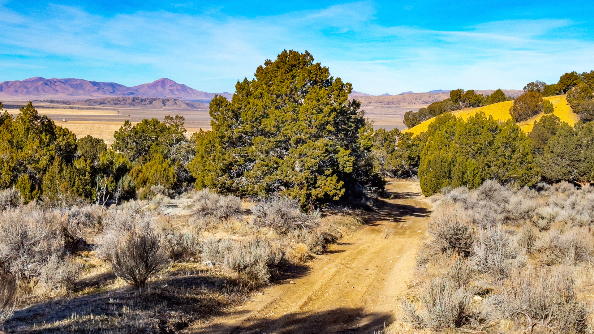 main property photo 55