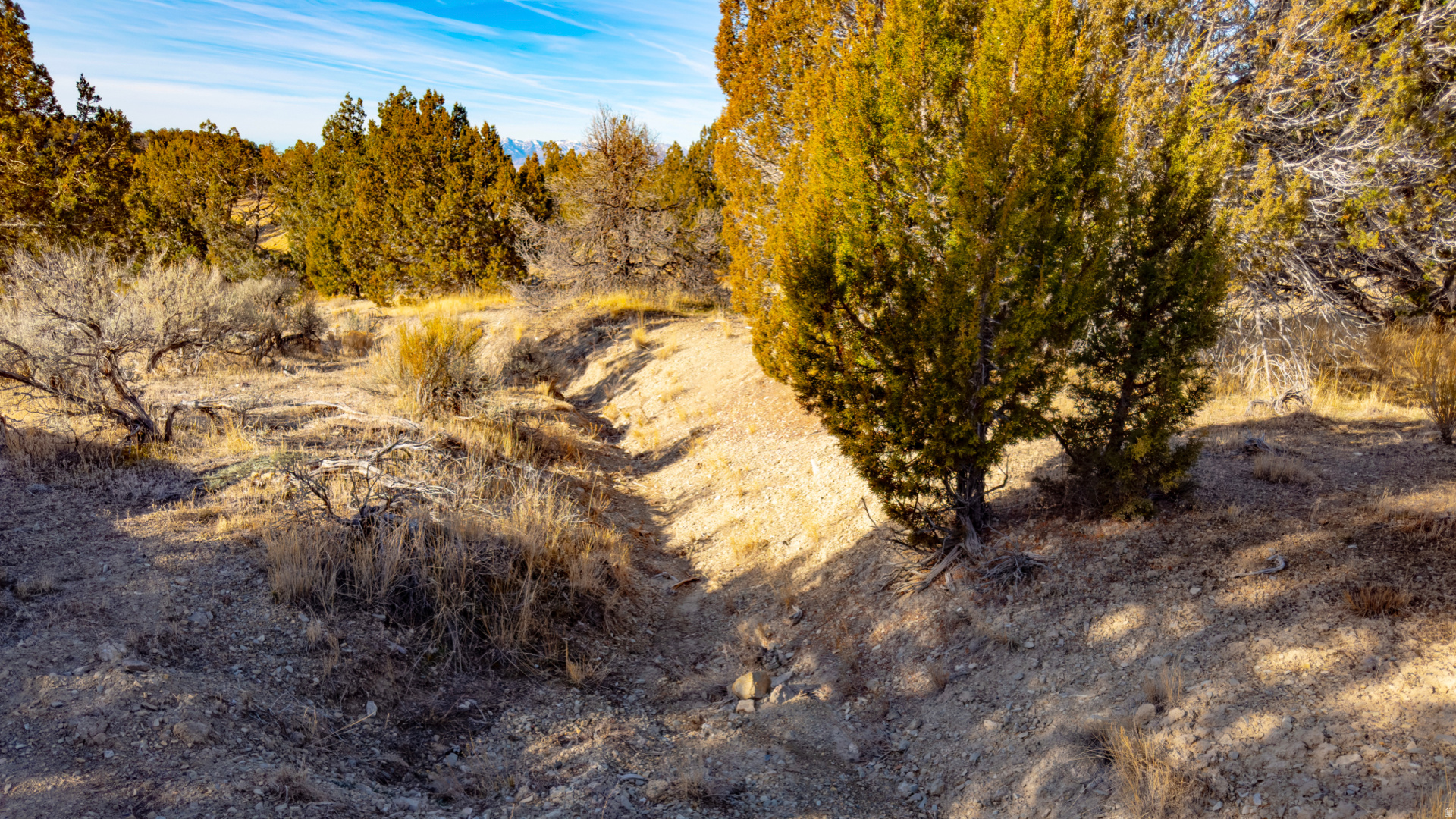 main property photo 57