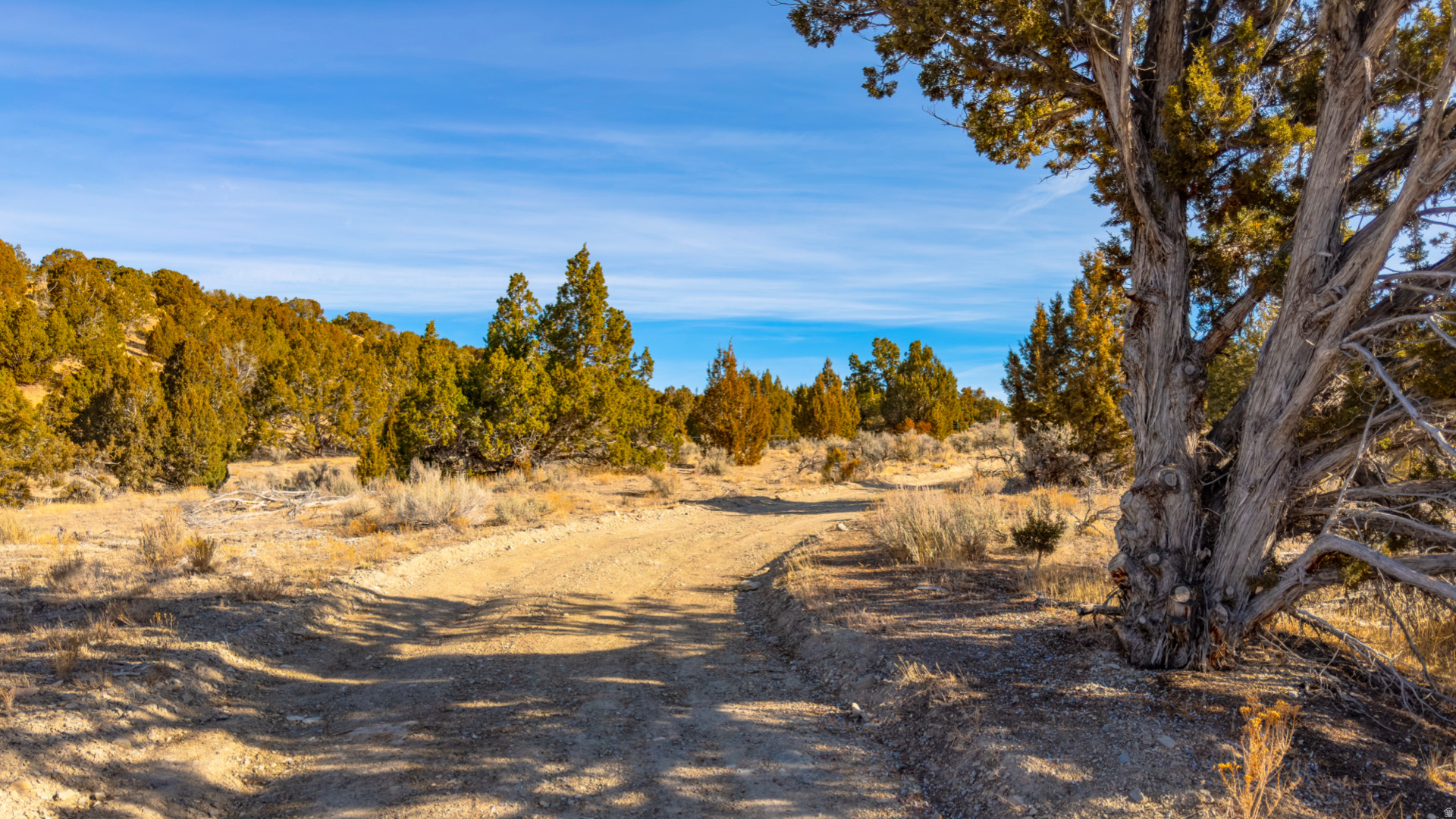 main property photo 58