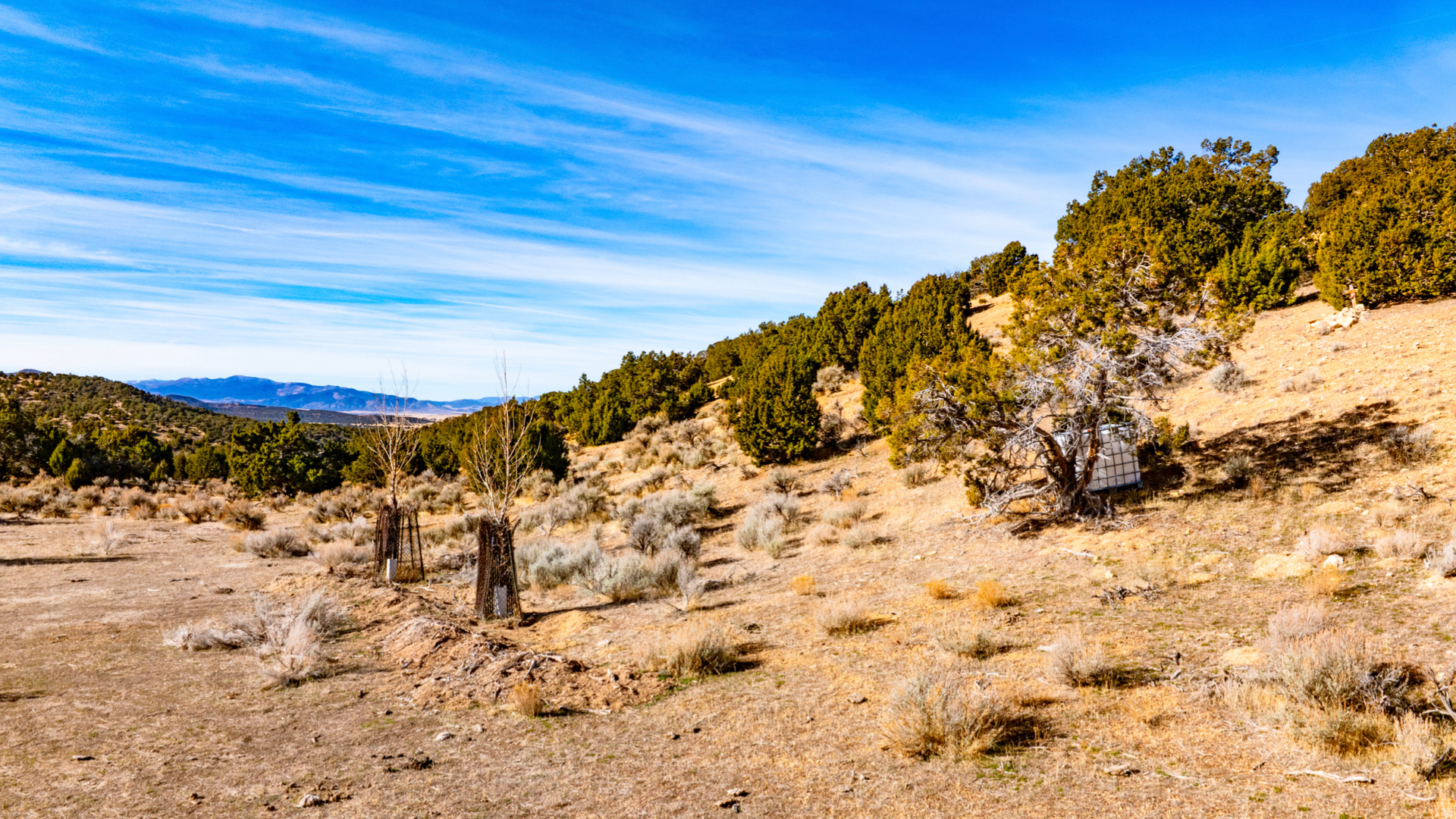 main property photo 62