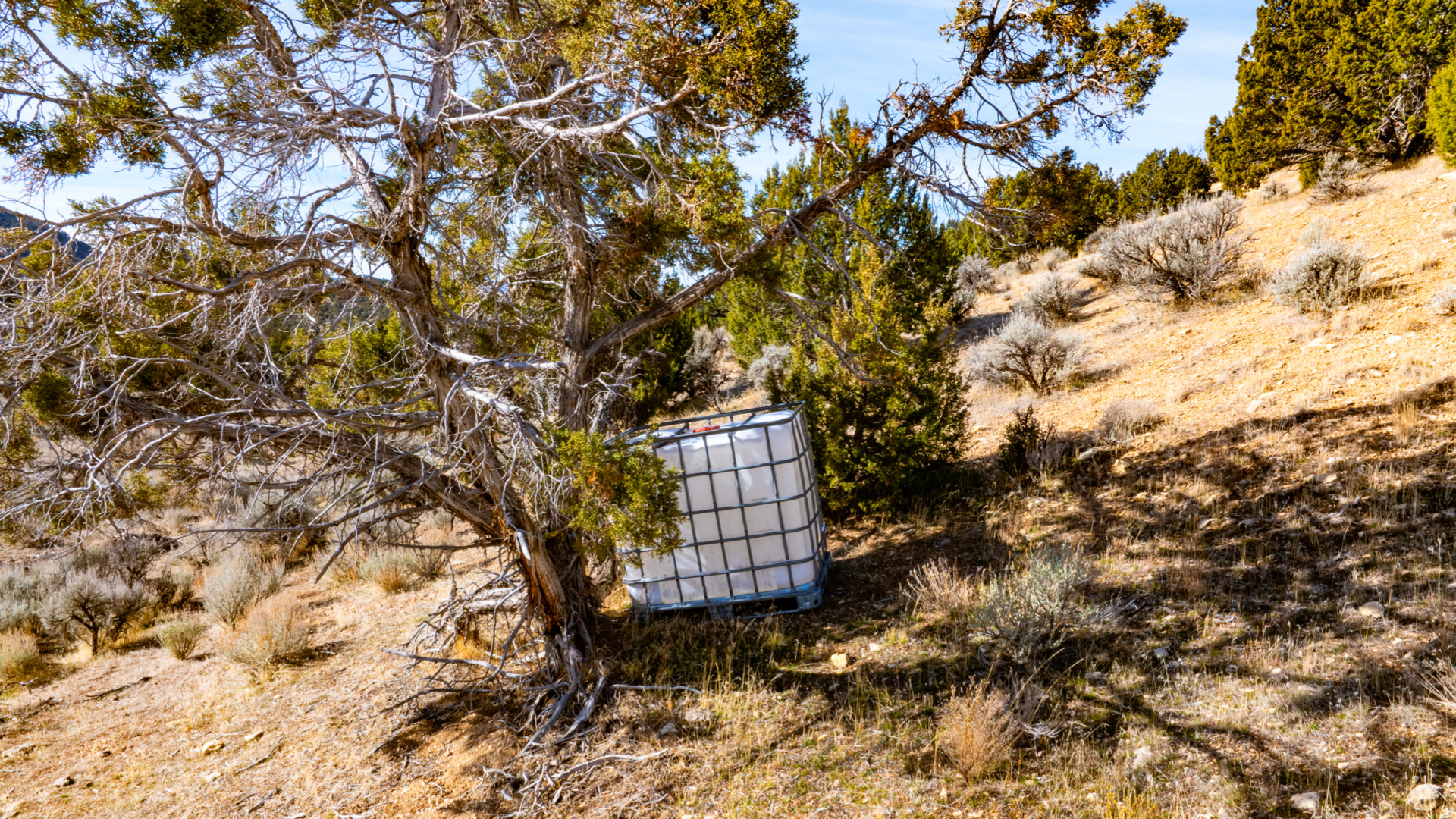 main property photo 63