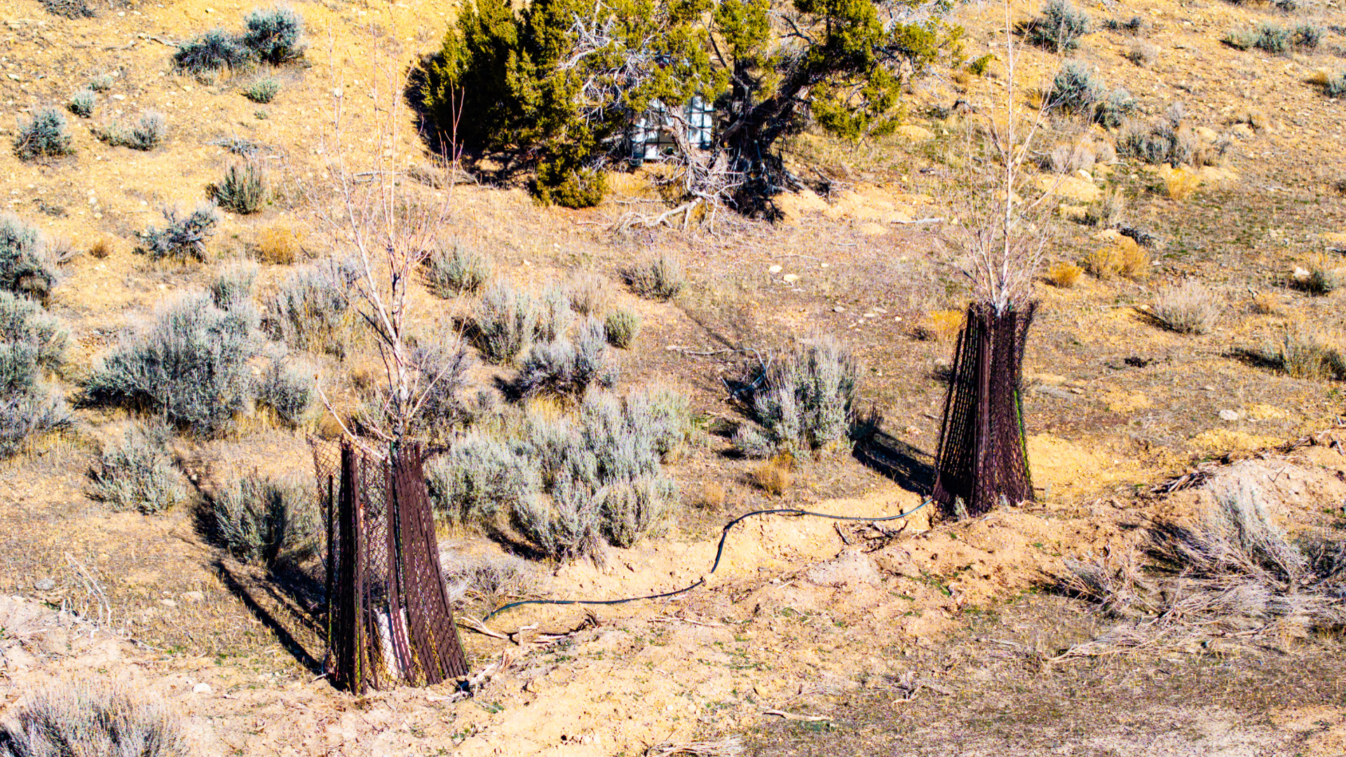 main property photo 66