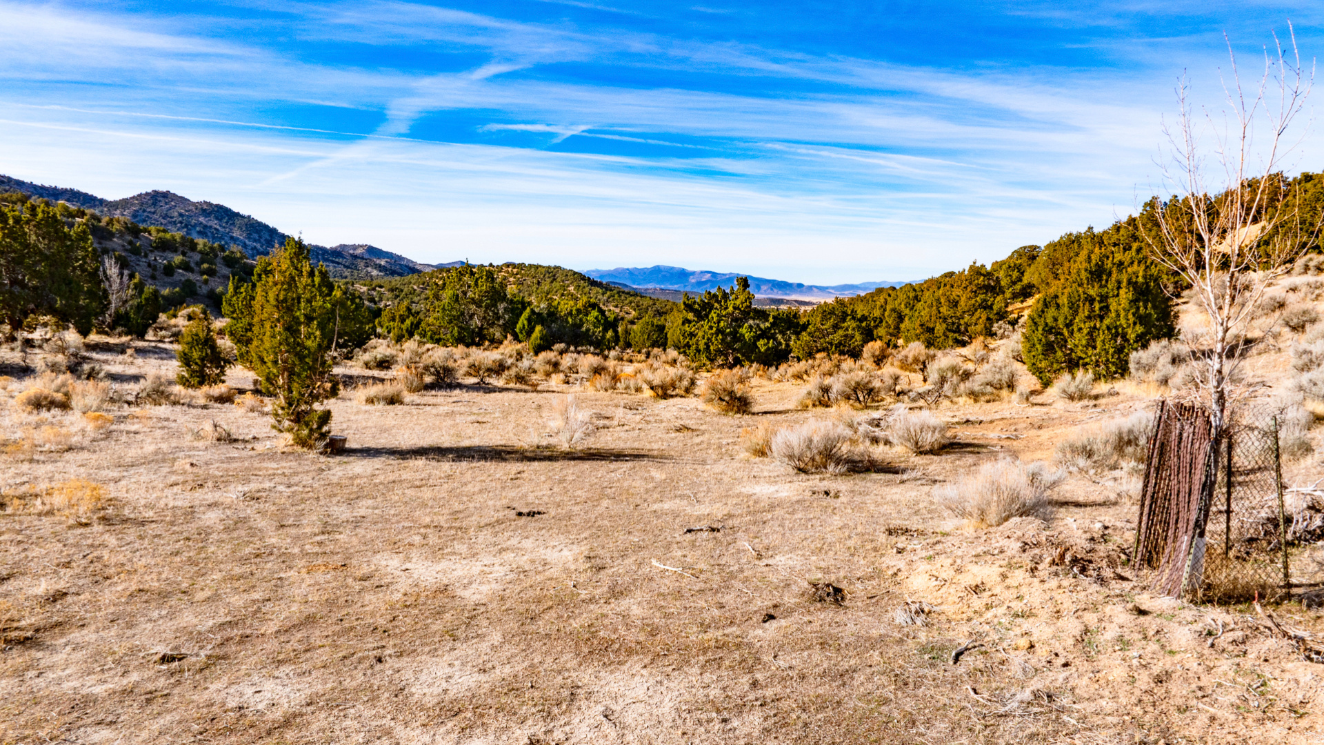 main property photo 67