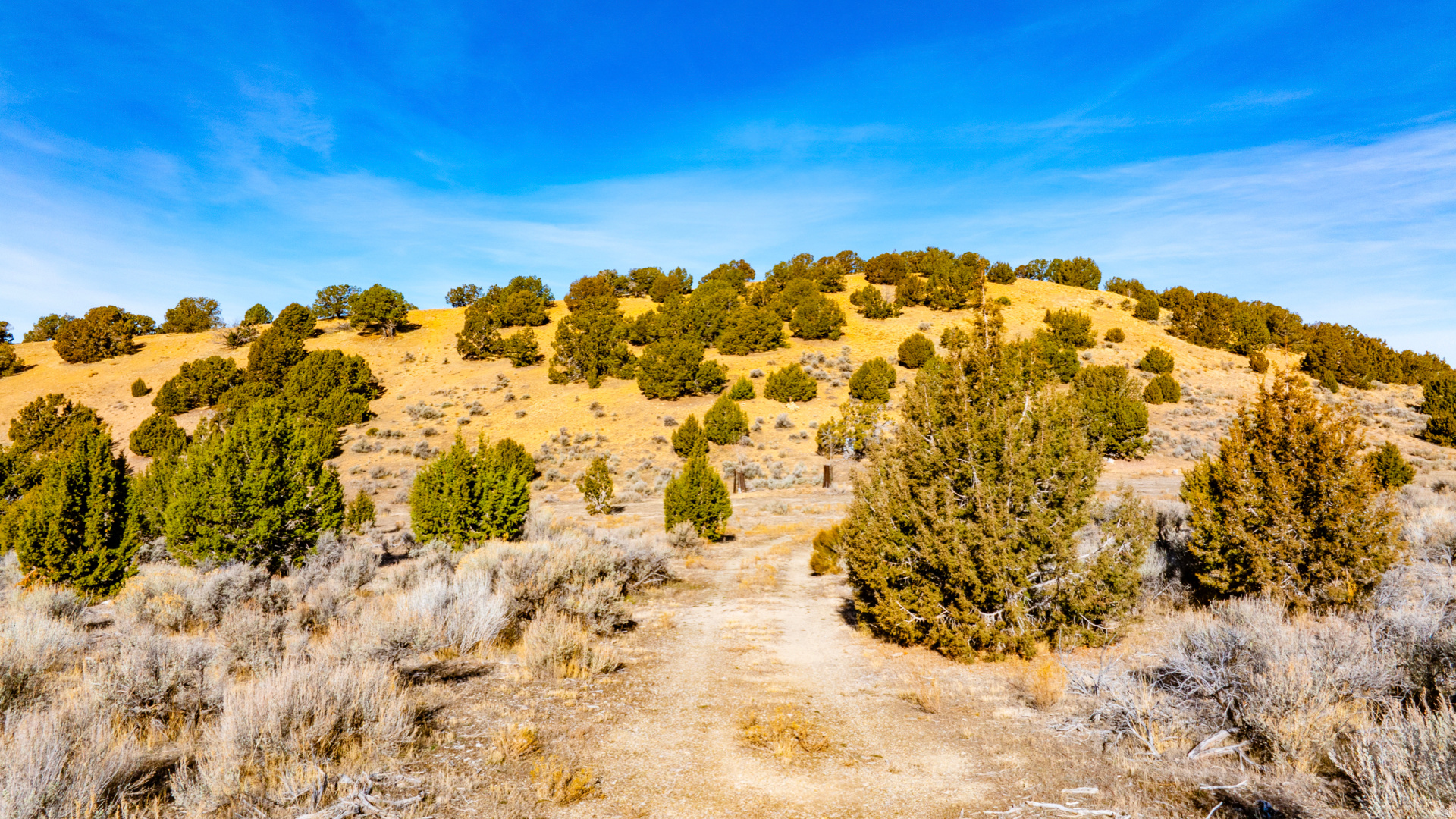 main property photo 73