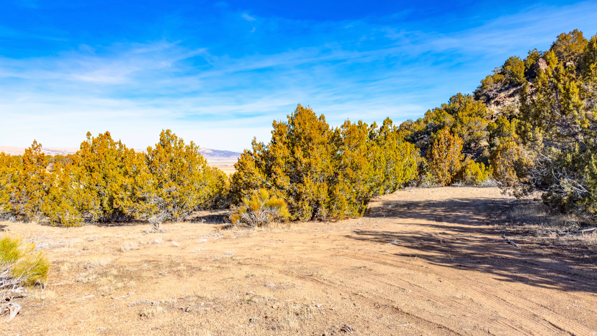 main property photo 77