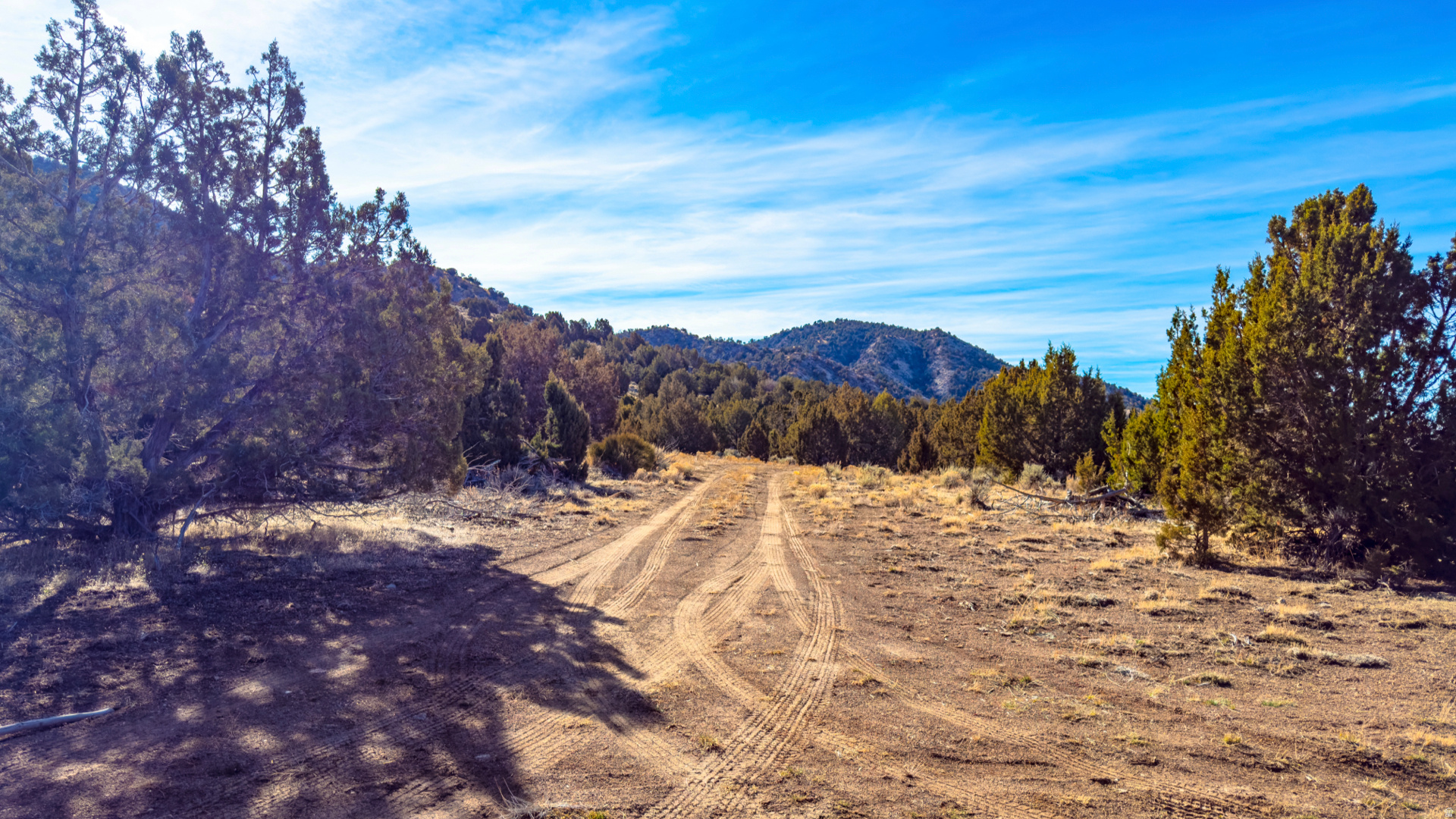 main property photo 81