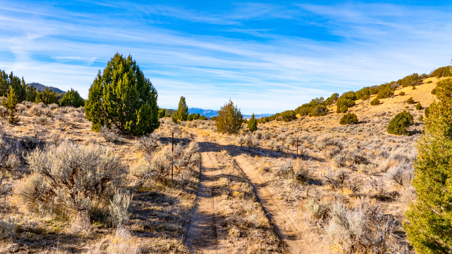 main property photo 82