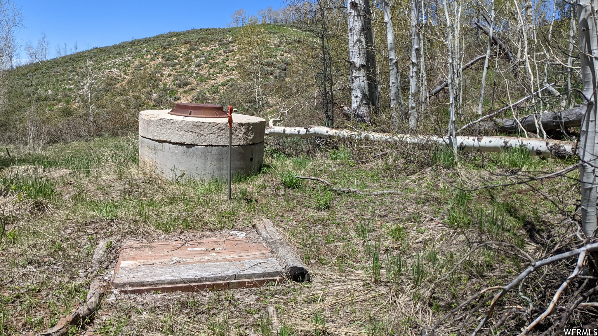 main property photo 40