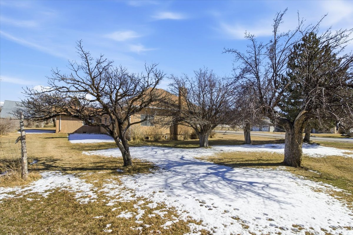 main property photo 69