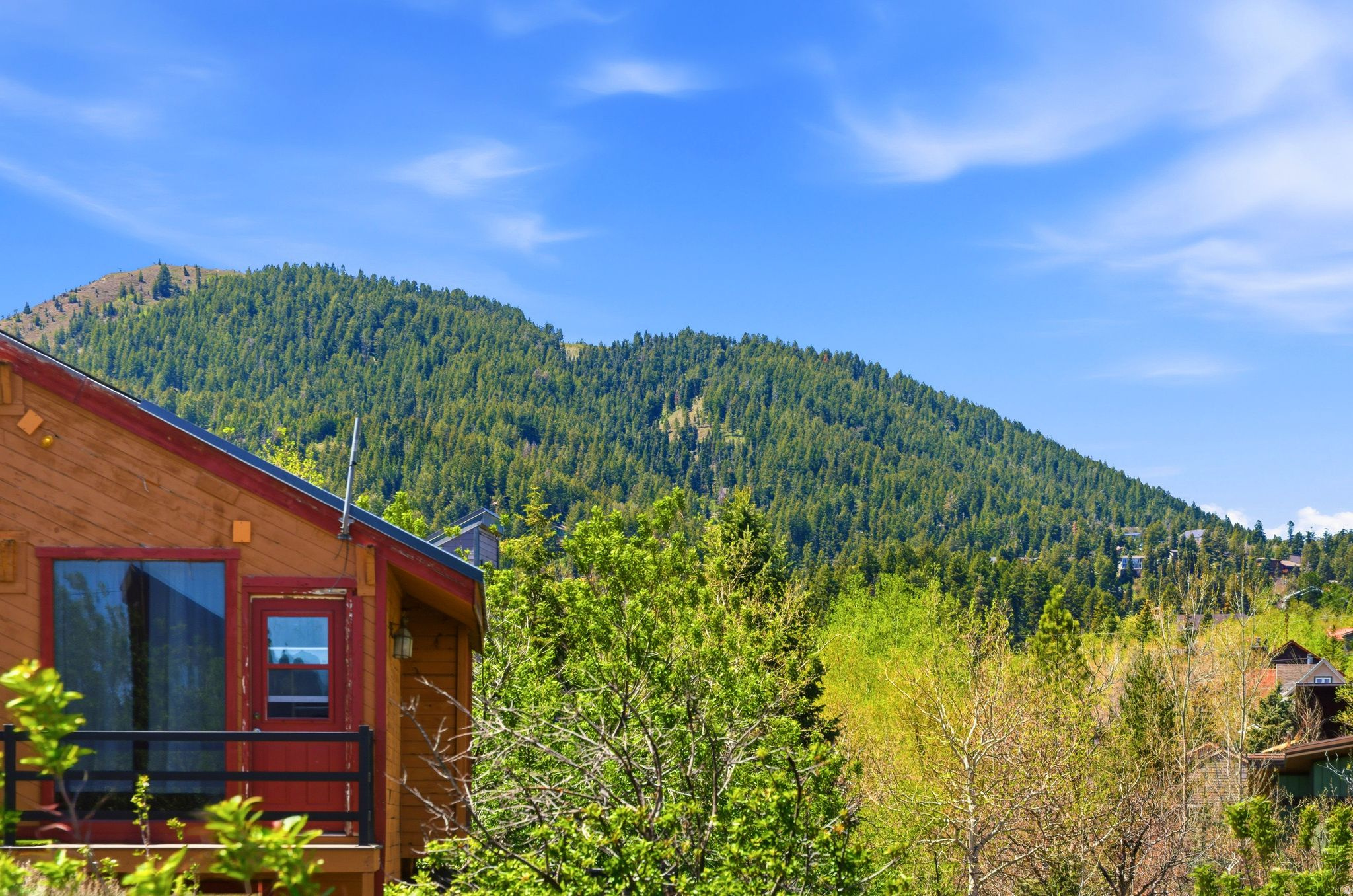 main property photo 40