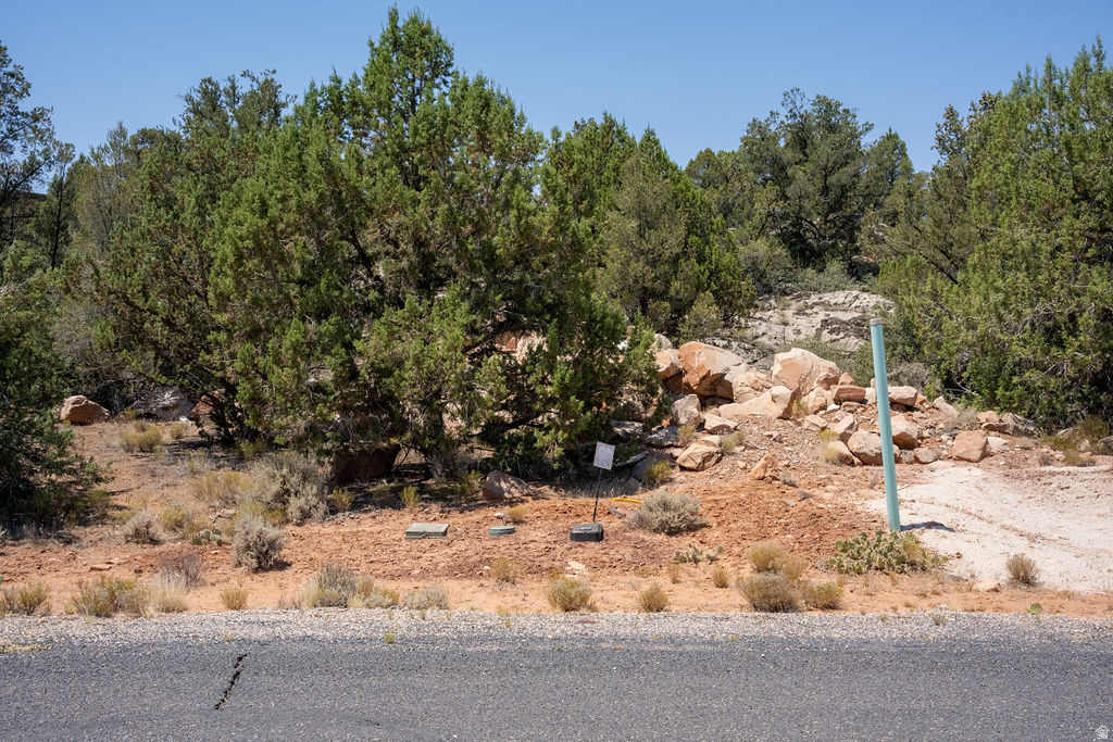 main property photo 14