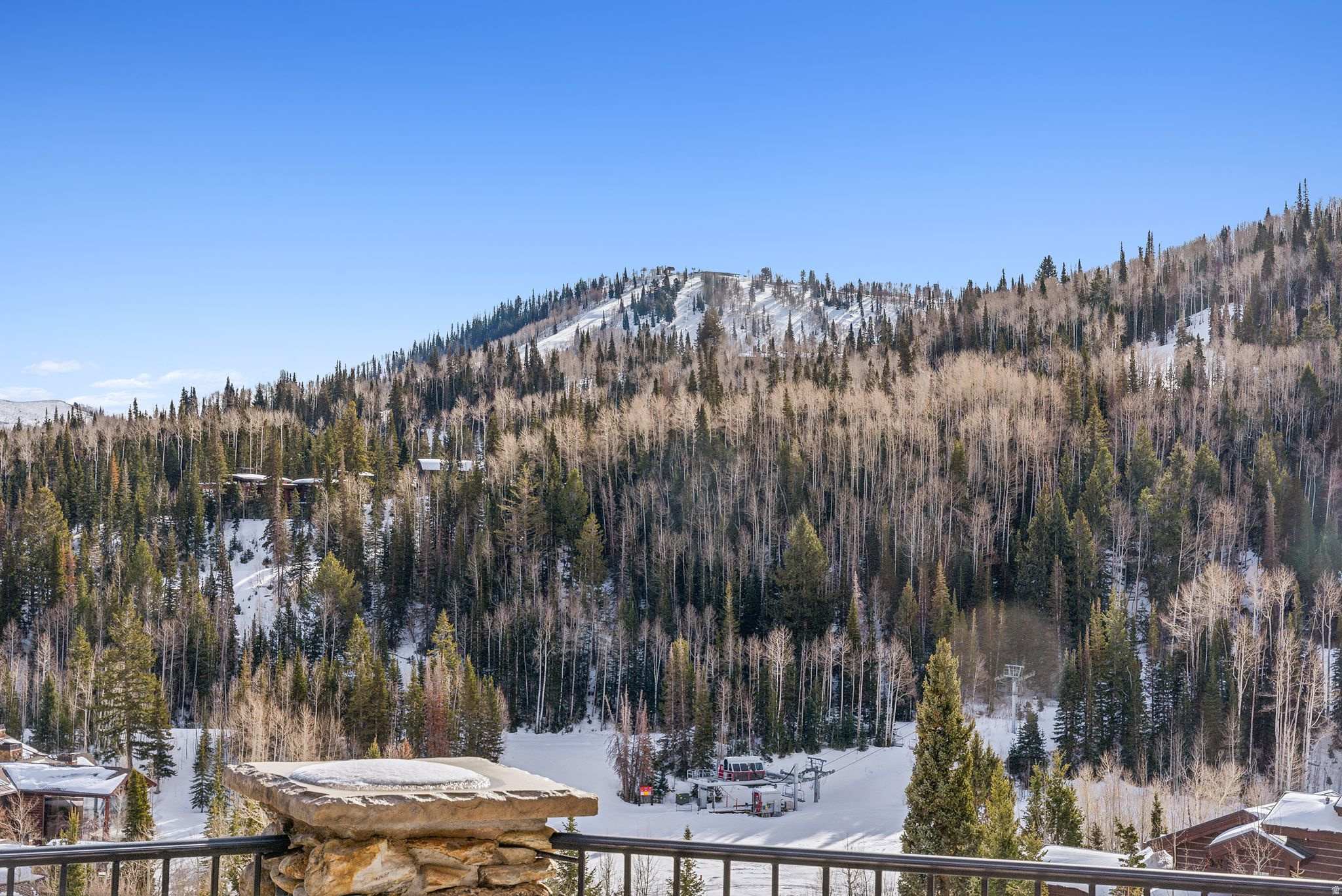 main property photo 100