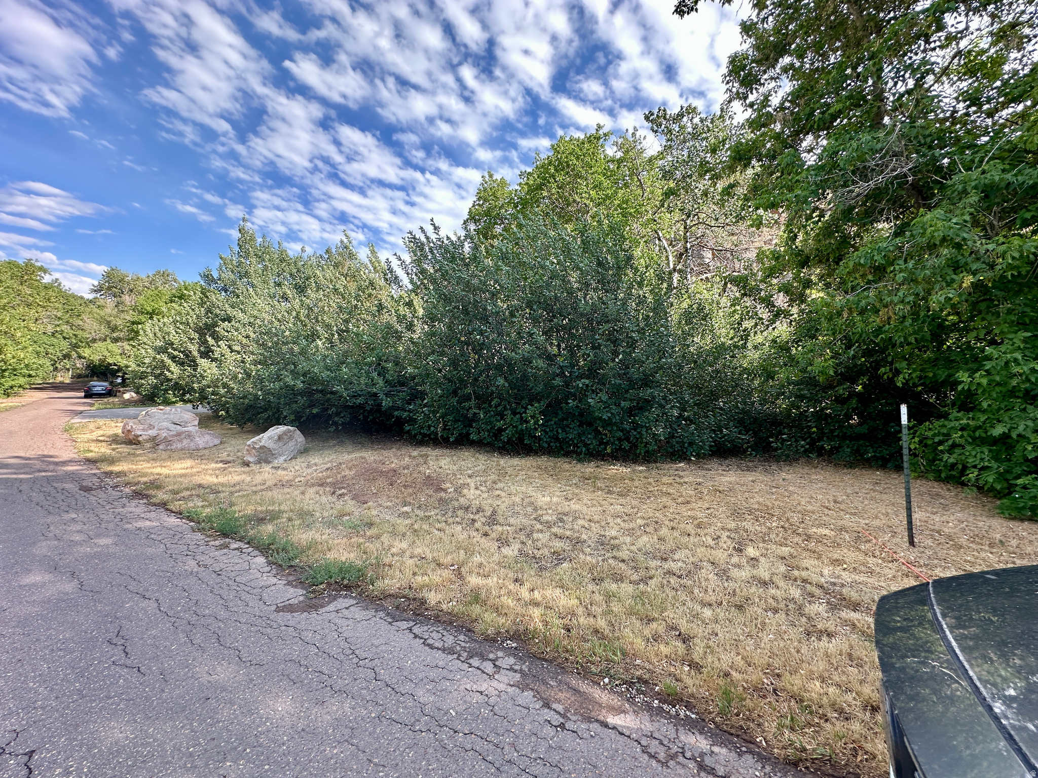 main property photo 100