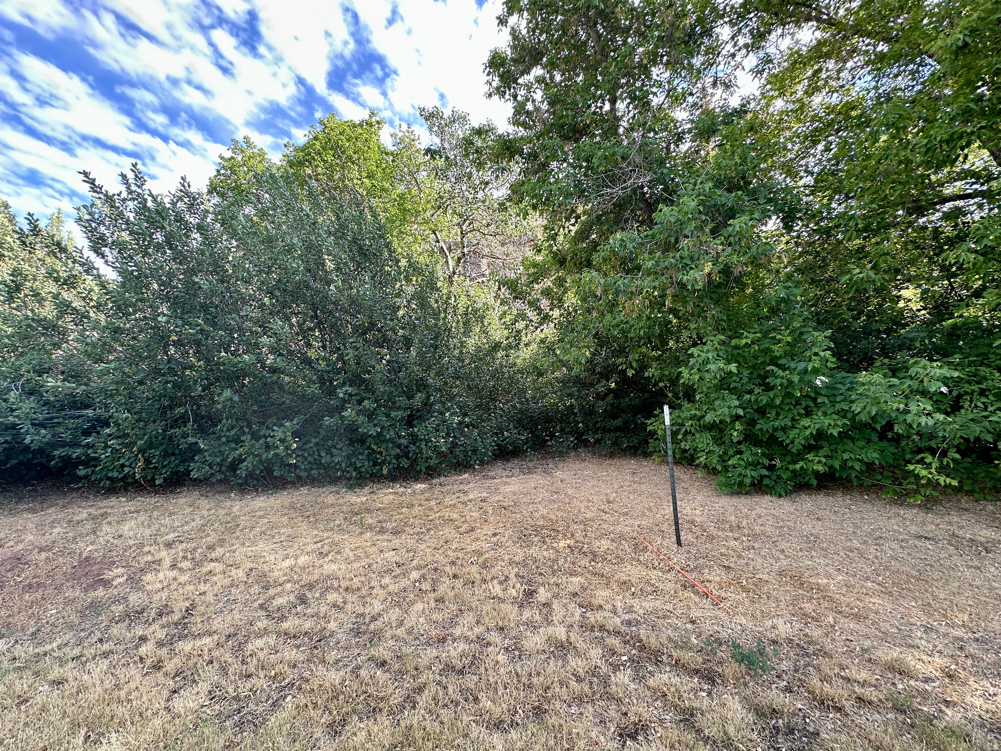 main property photo 101