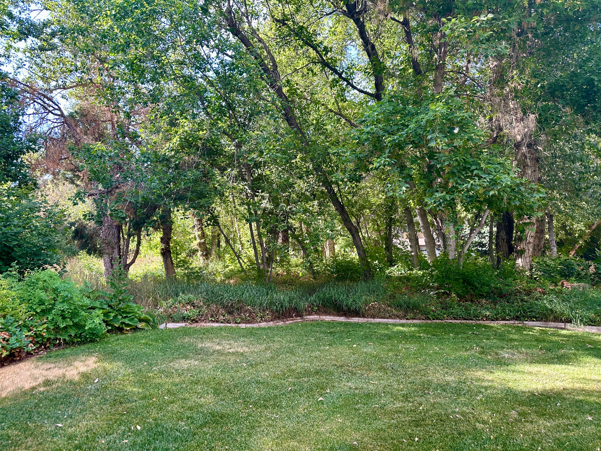 main property photo 103