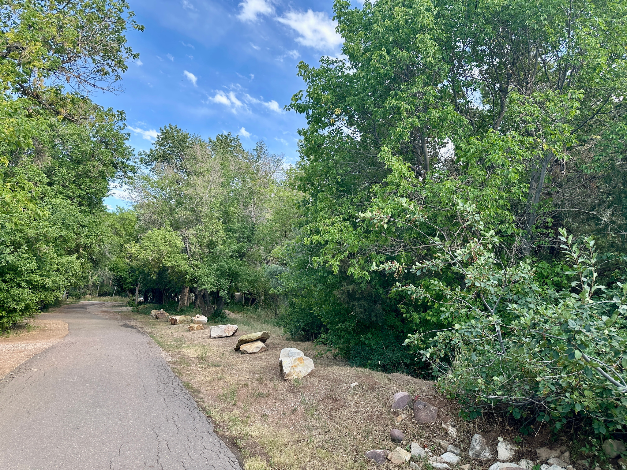 main property photo 116